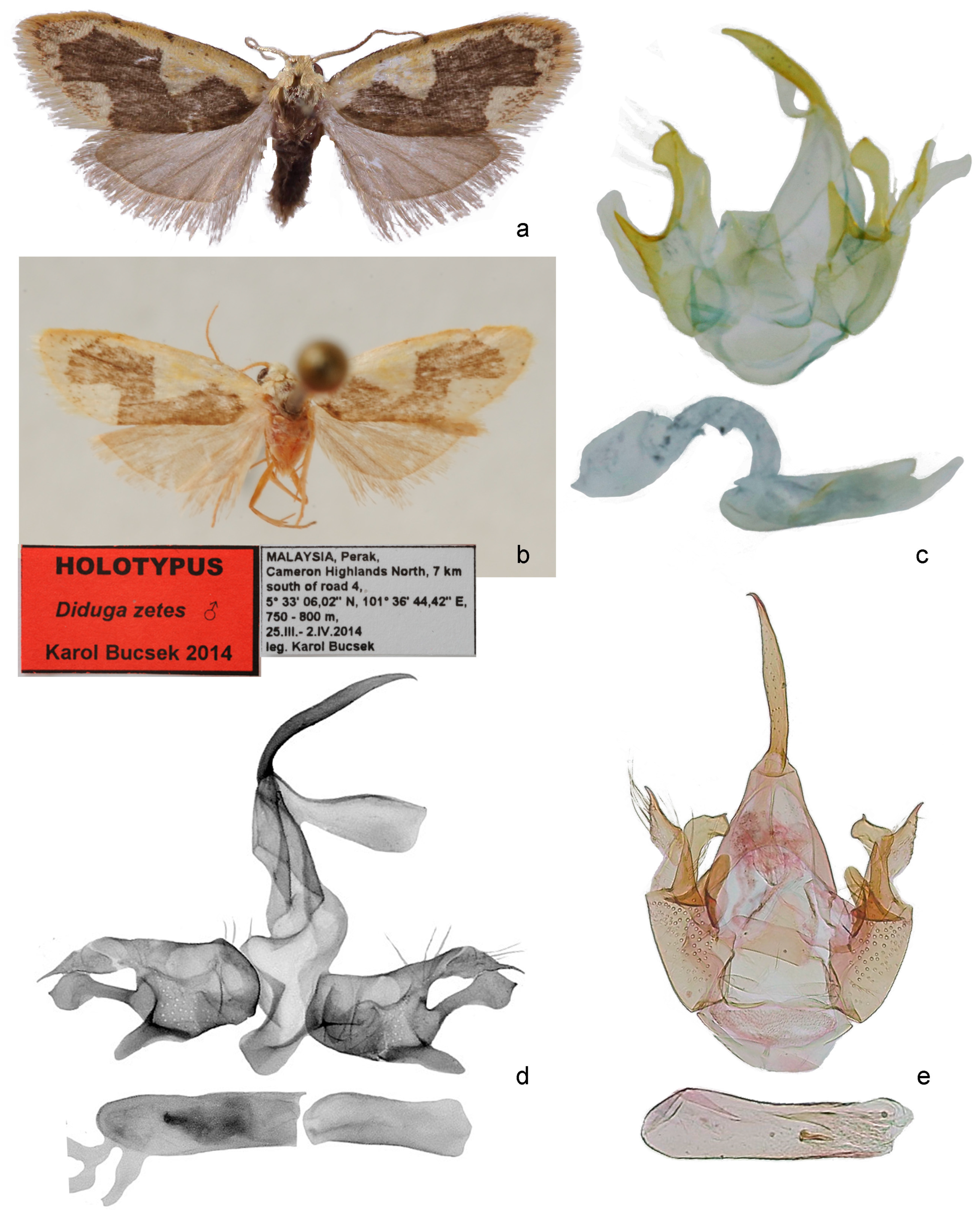 Forests 14 00889 g008