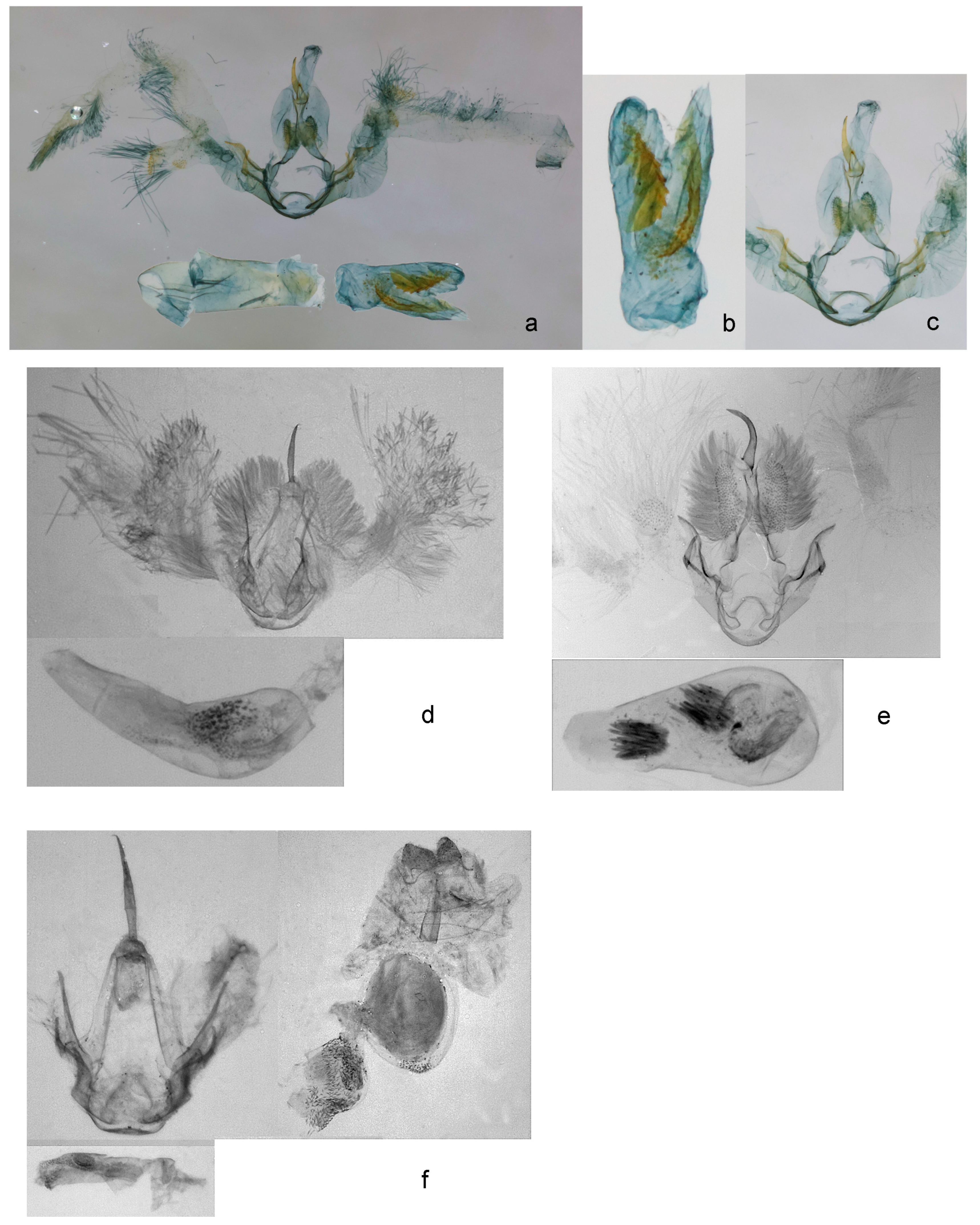 Forests 14 00889 g010