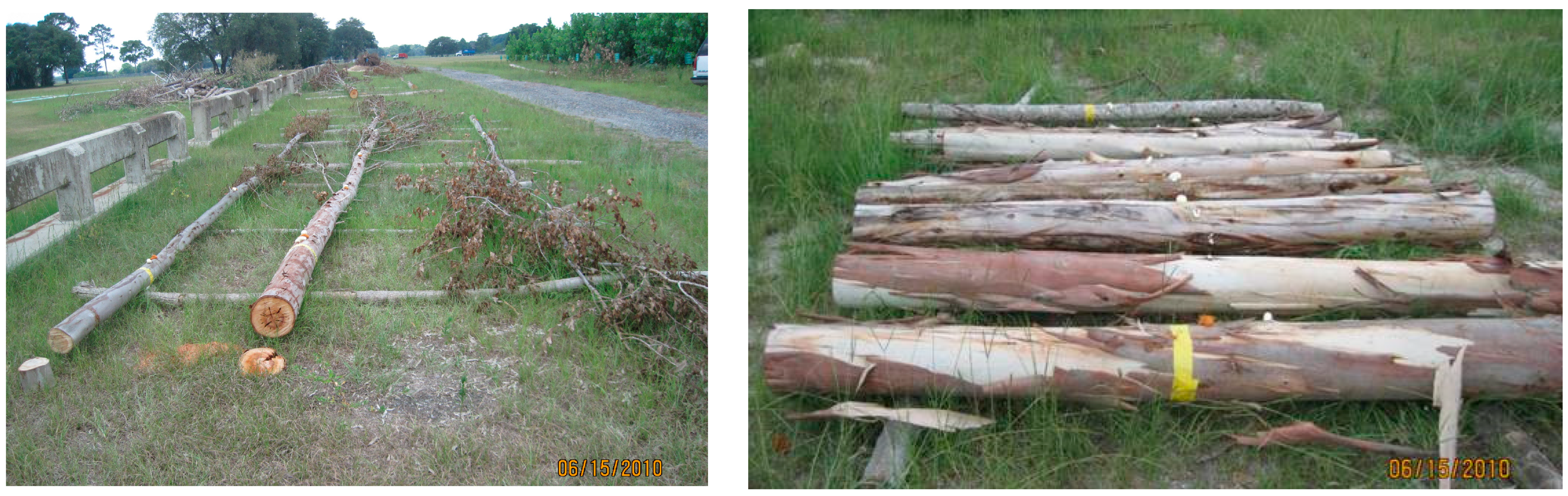 Forests 14 00899 g001 Forests 14 00899 g001