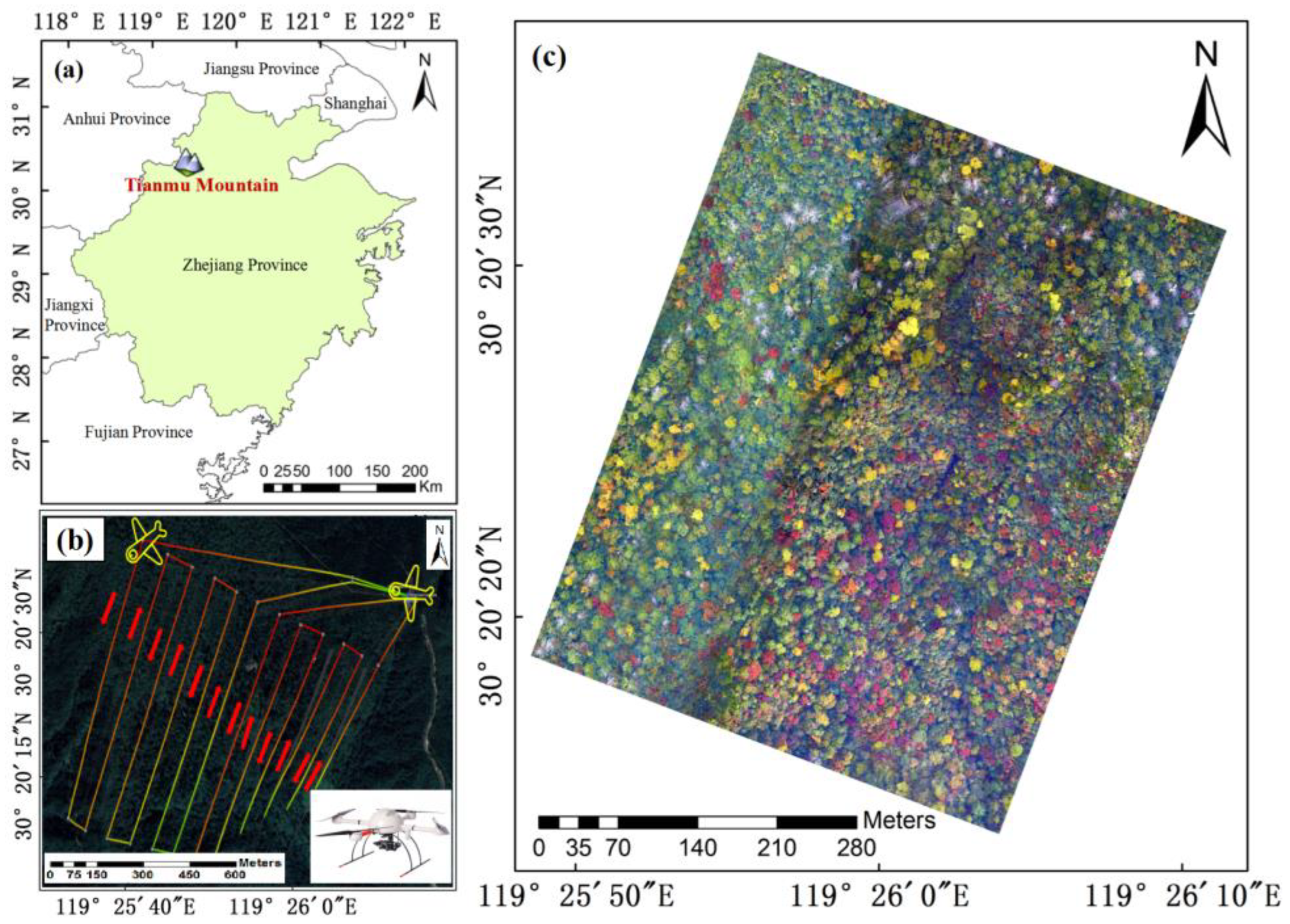 Forests 14 00908 g001 Forests 14 00908 g001