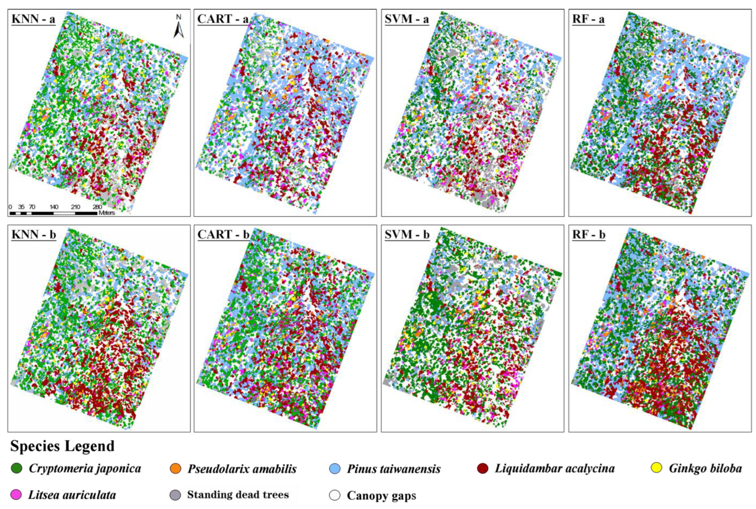 Forests 14 00908 g005 Forests 14 00908 g005