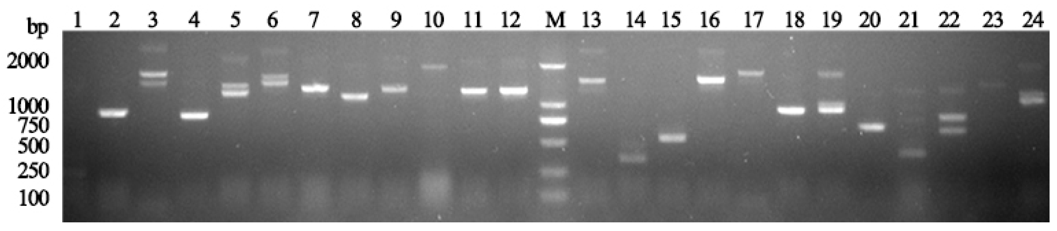 Forests 14 00911 g003