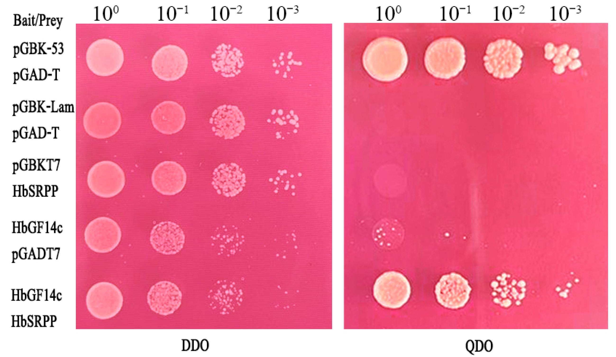 Forests 14 00911 g005