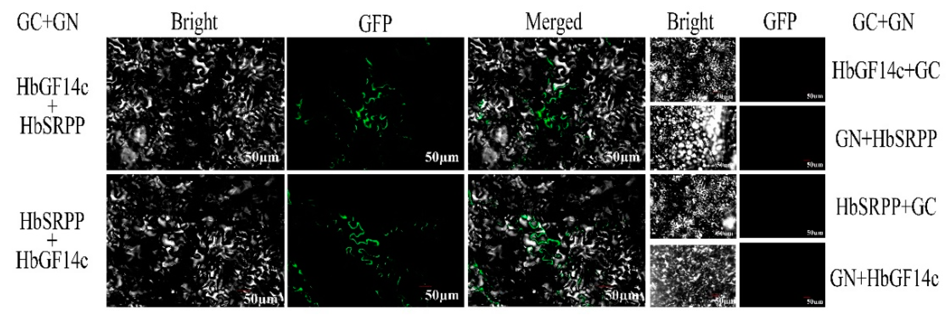 Forests 14 00911 g006