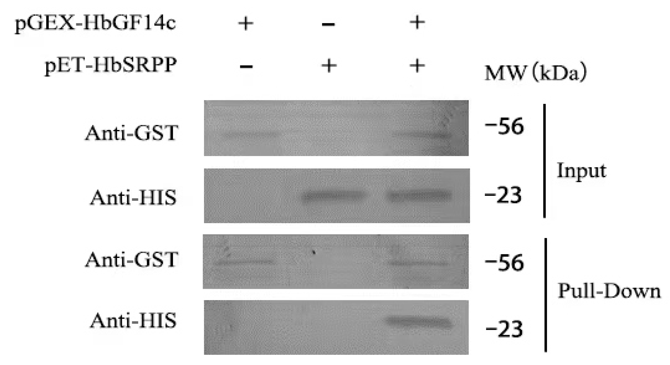 Forests 14 00911 g007