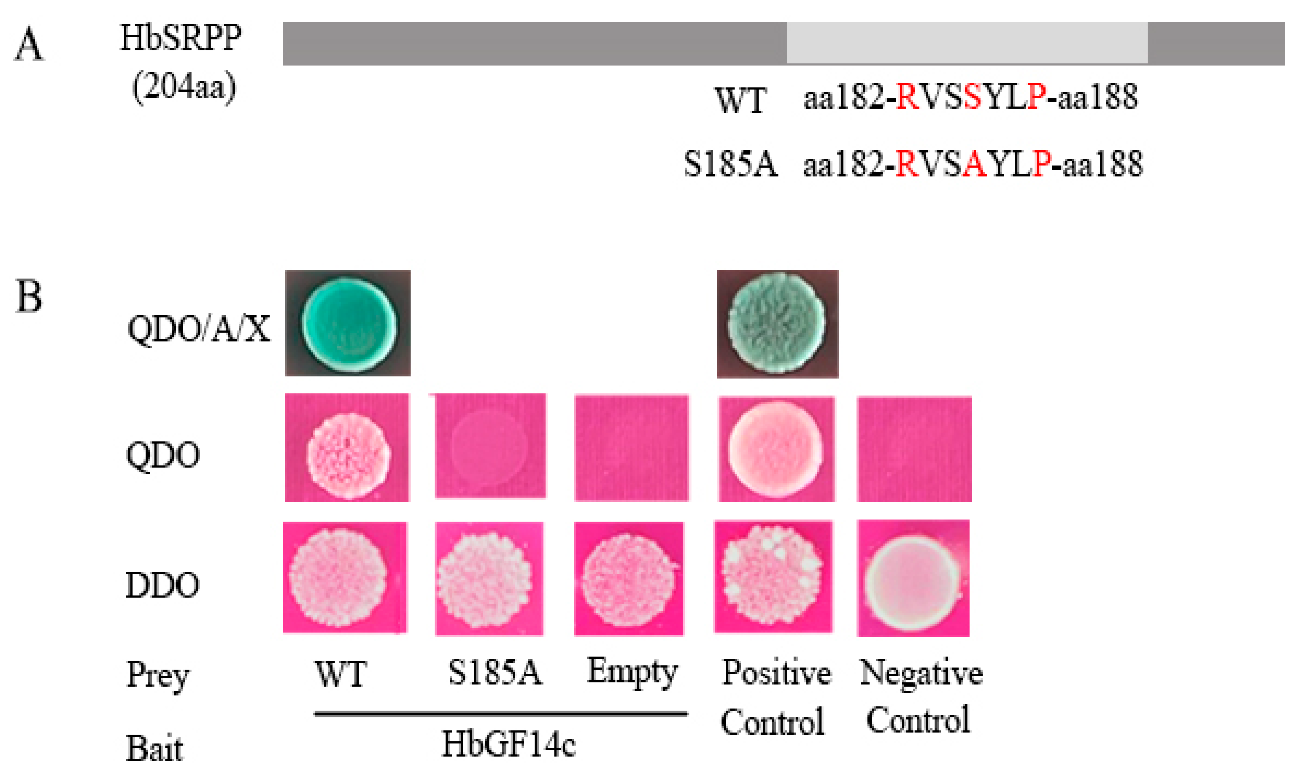 Forests 14 00911 g008