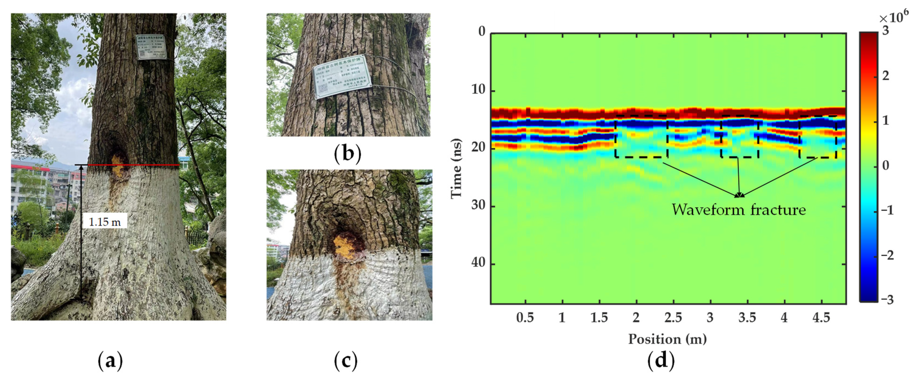 Forests 14 00912 g015 Forests 14 00912 g015