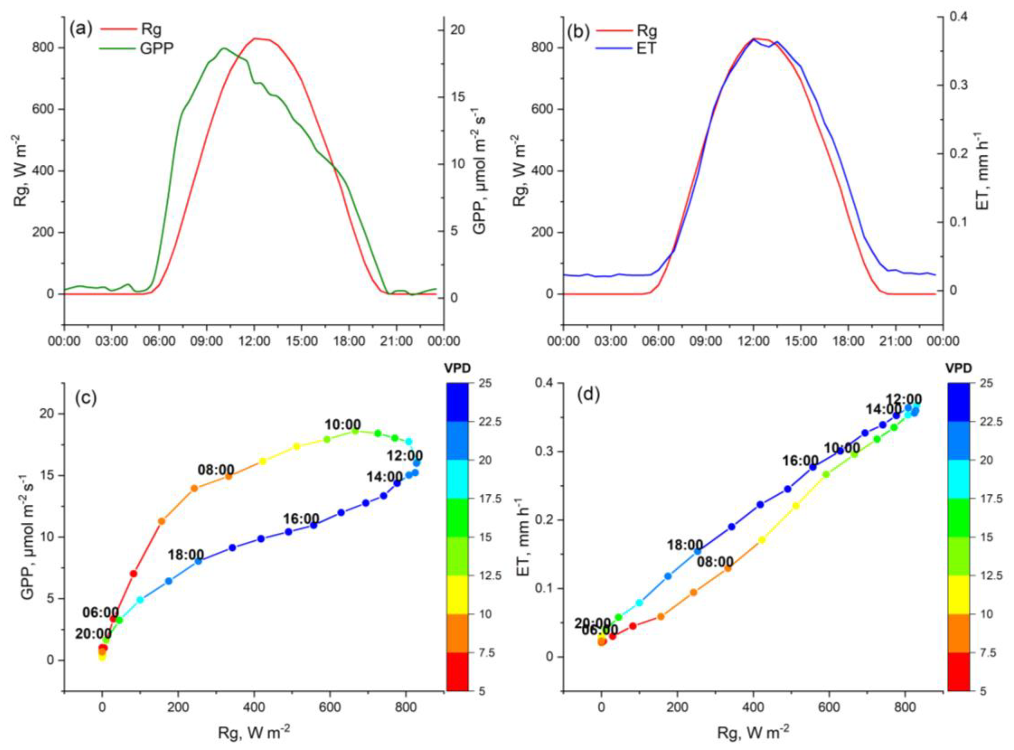 Forests 14 00916 g004 Forests 14 00916 g004