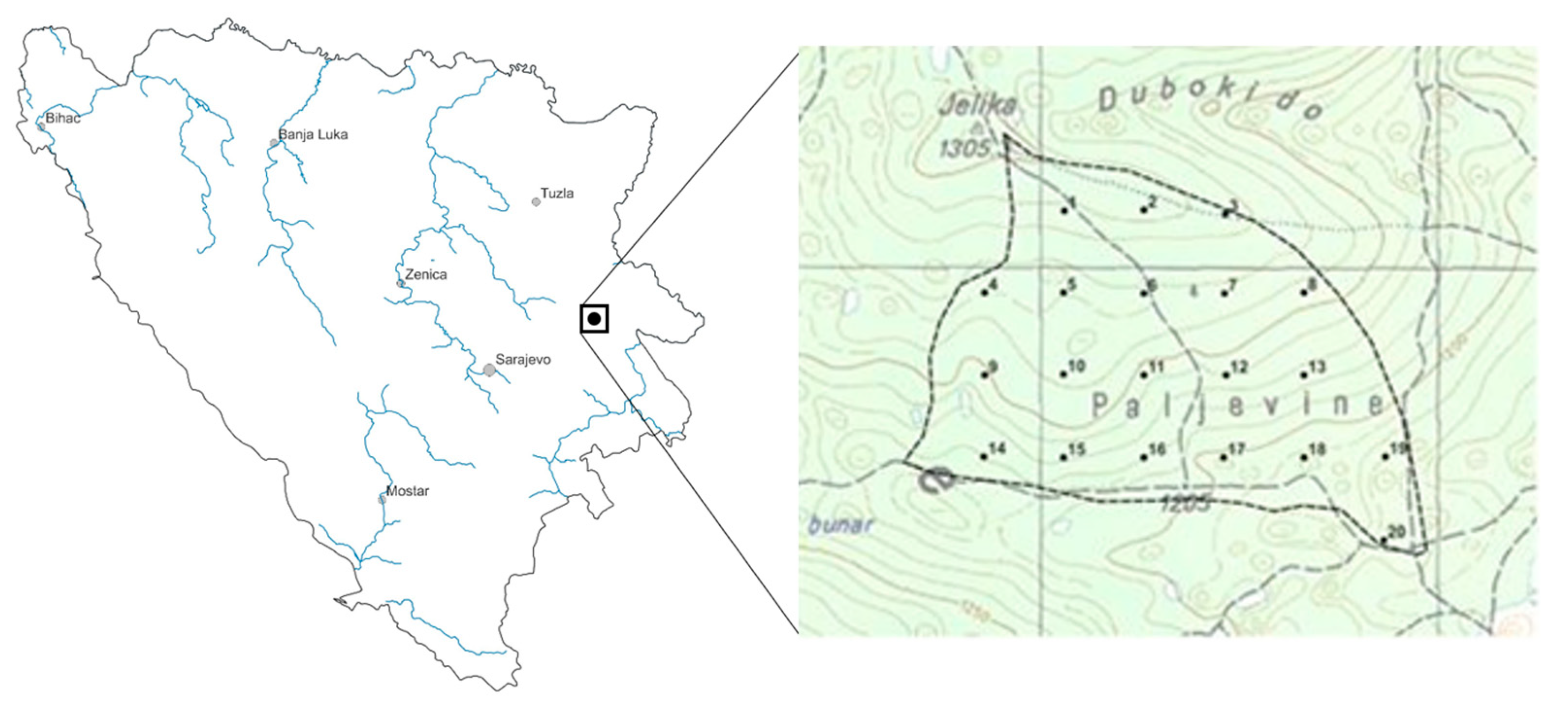 Forests 14 00927 g001