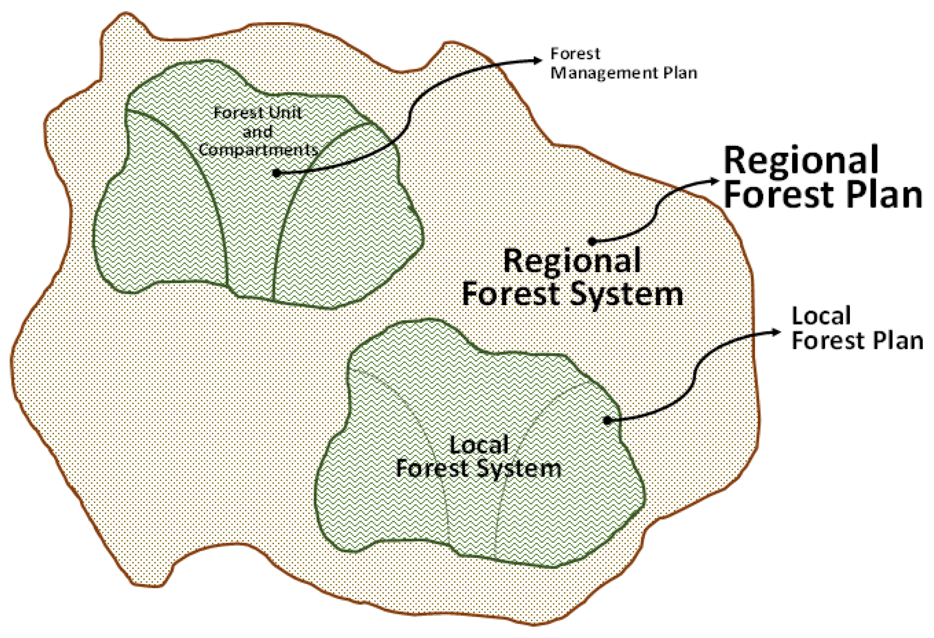 Ecosystem Services from Forest Landscapes: Broadscale