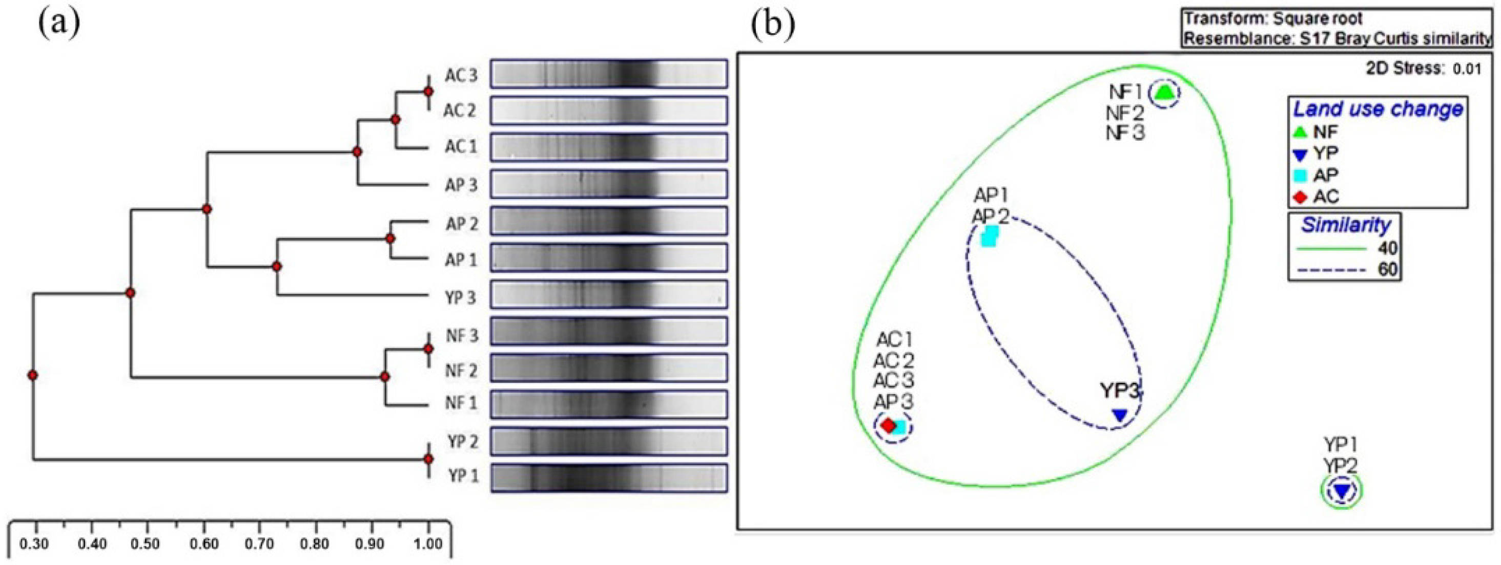 Forests 14 00938 g003