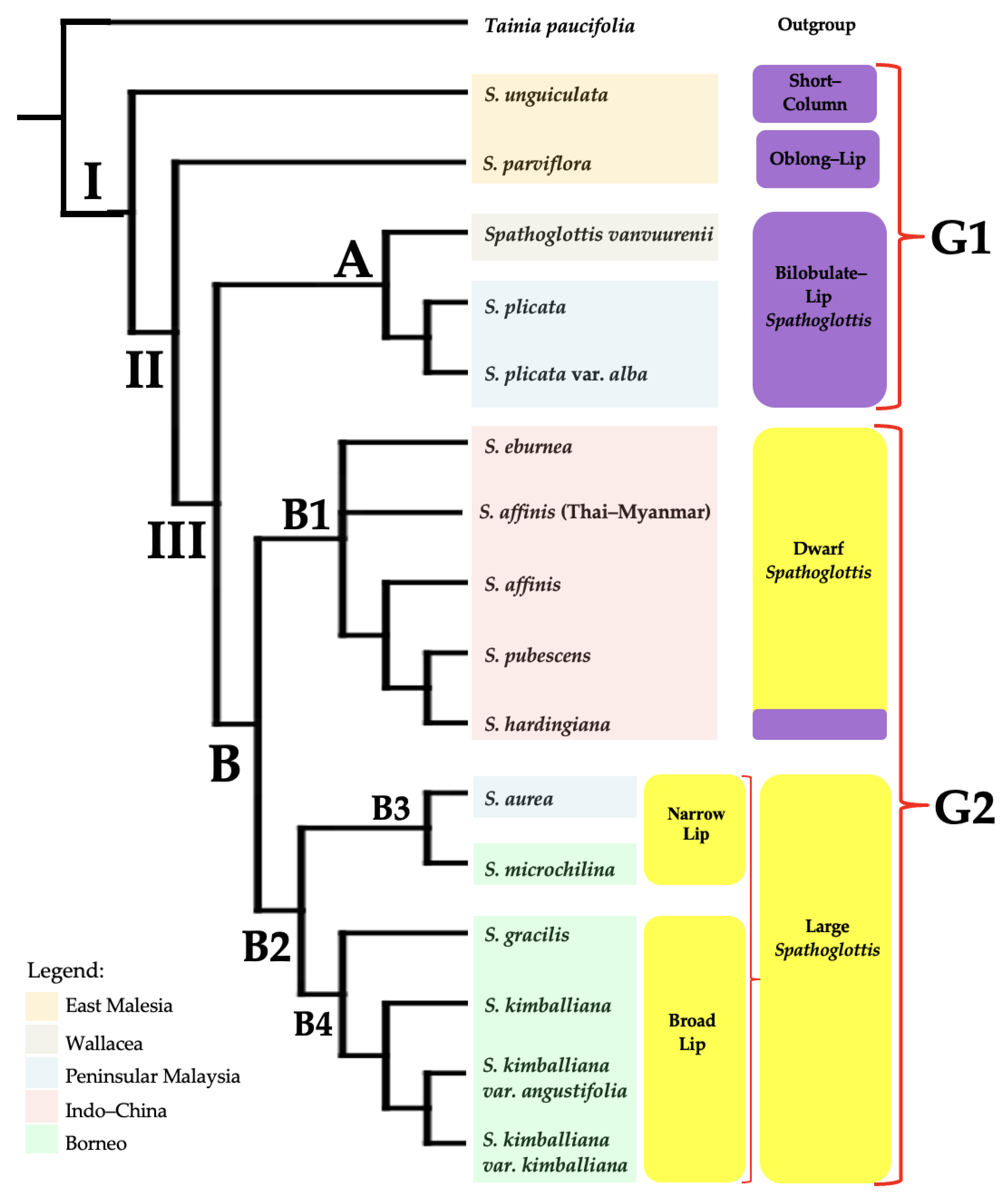 Forests 14 00940 g002