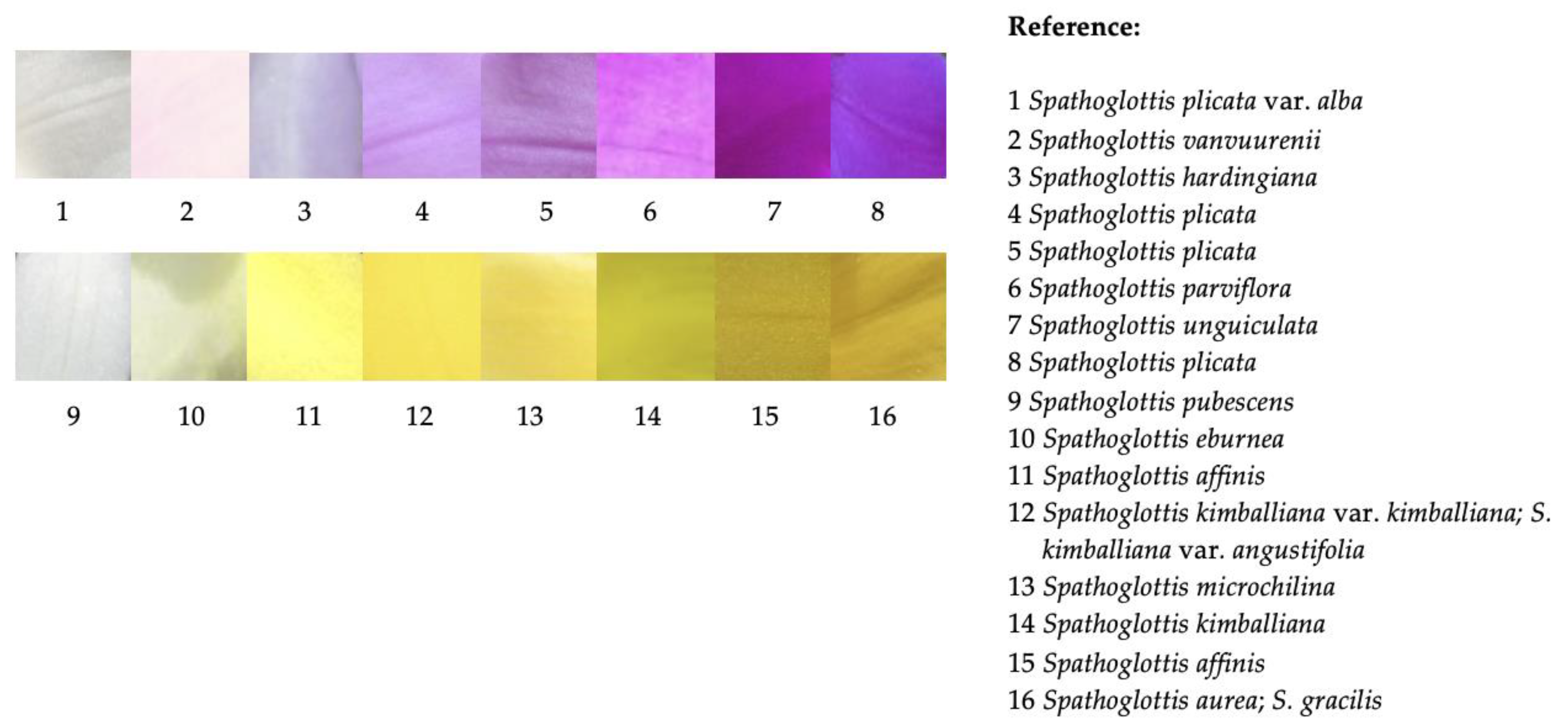 Forests 14 00940 g003