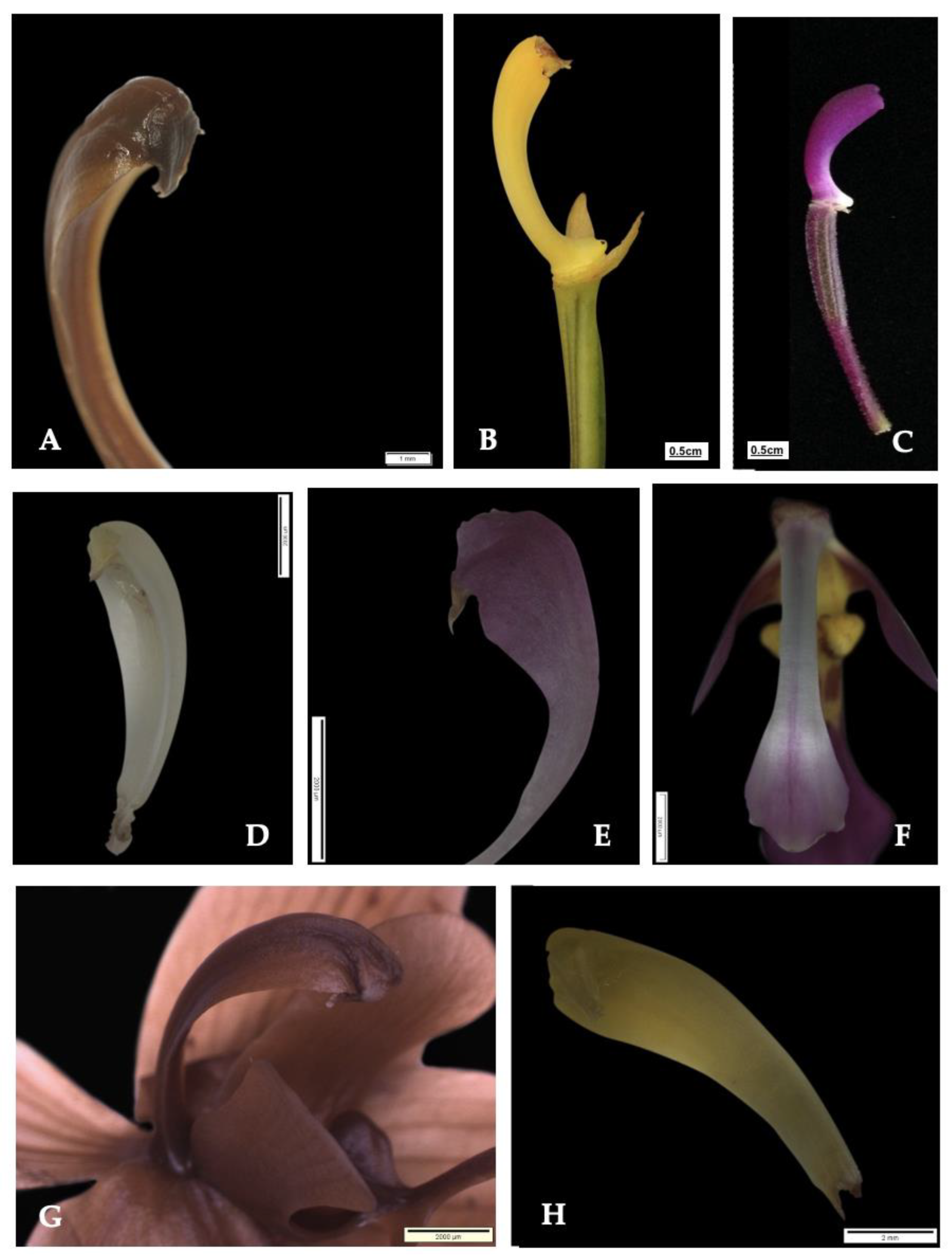 Forests 14 00940 g004