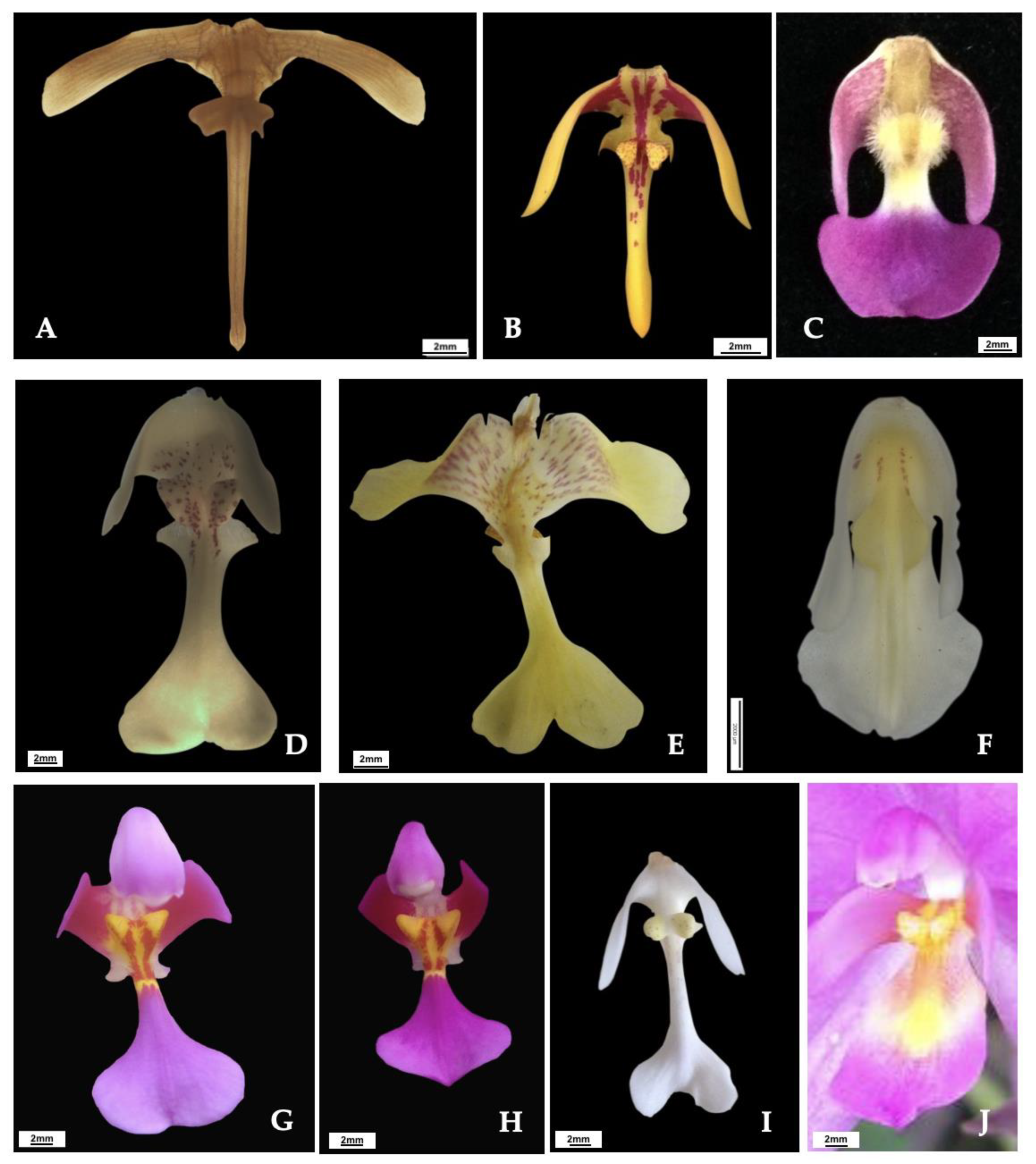 Forests 14 00940 g005