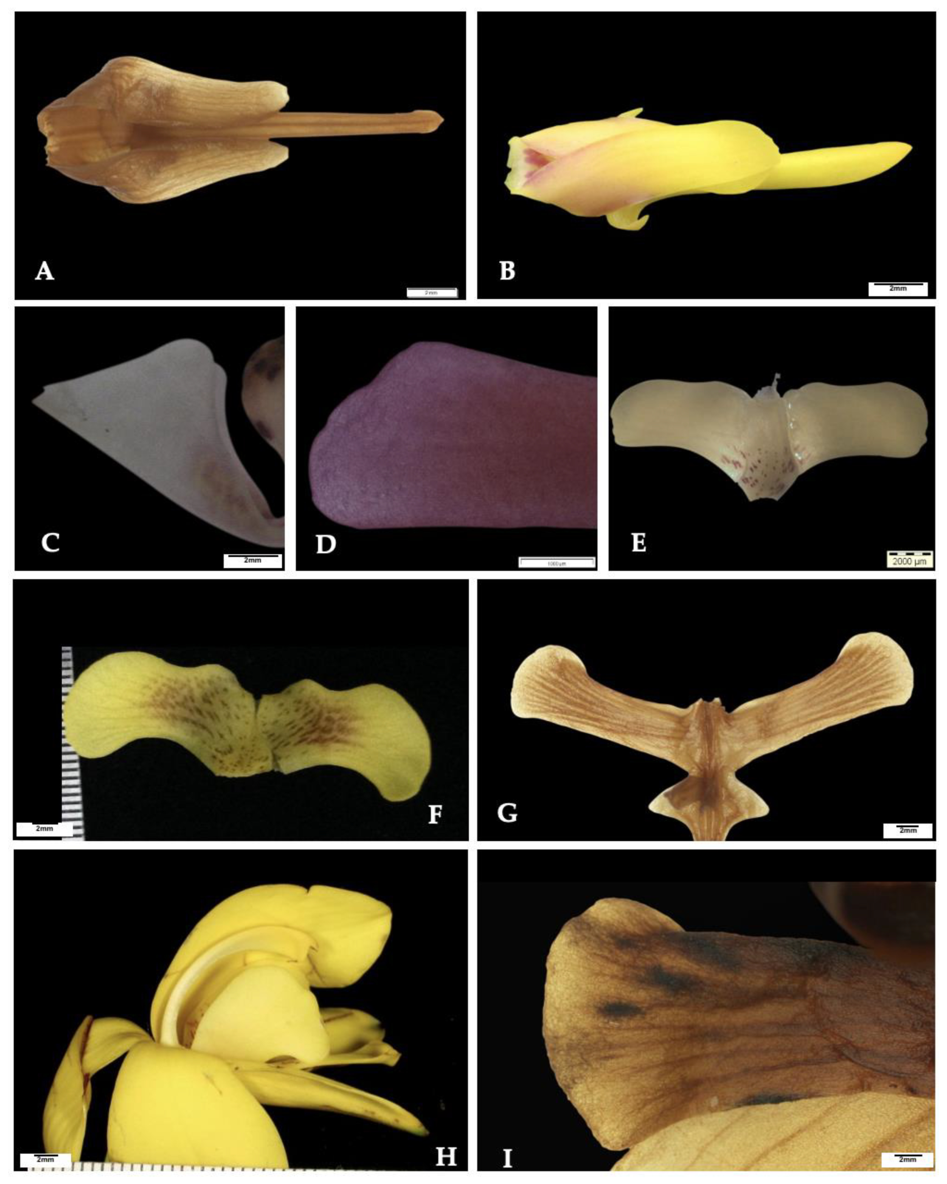 Forests 14 00940 g006