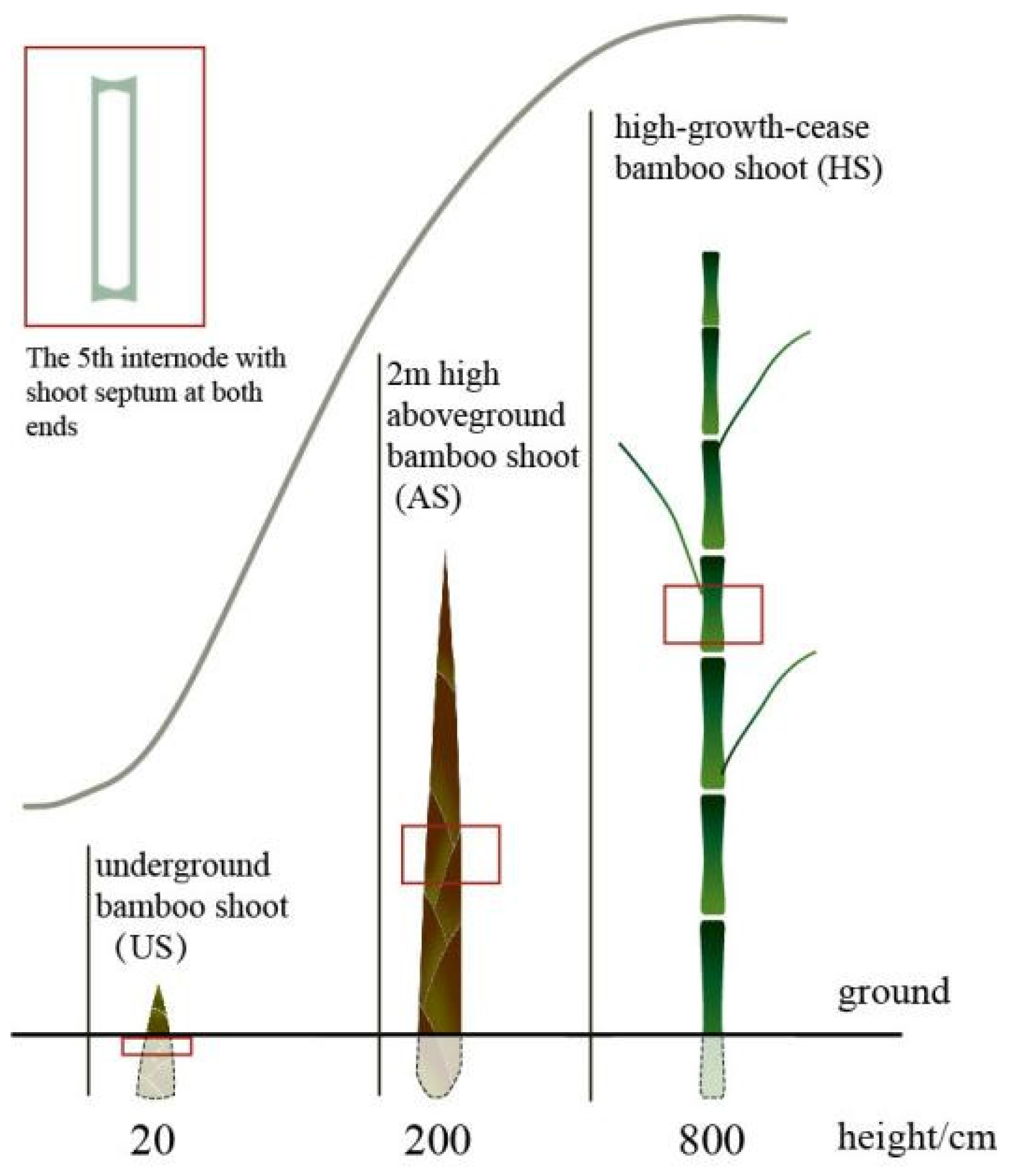Forests 14 00944 g001