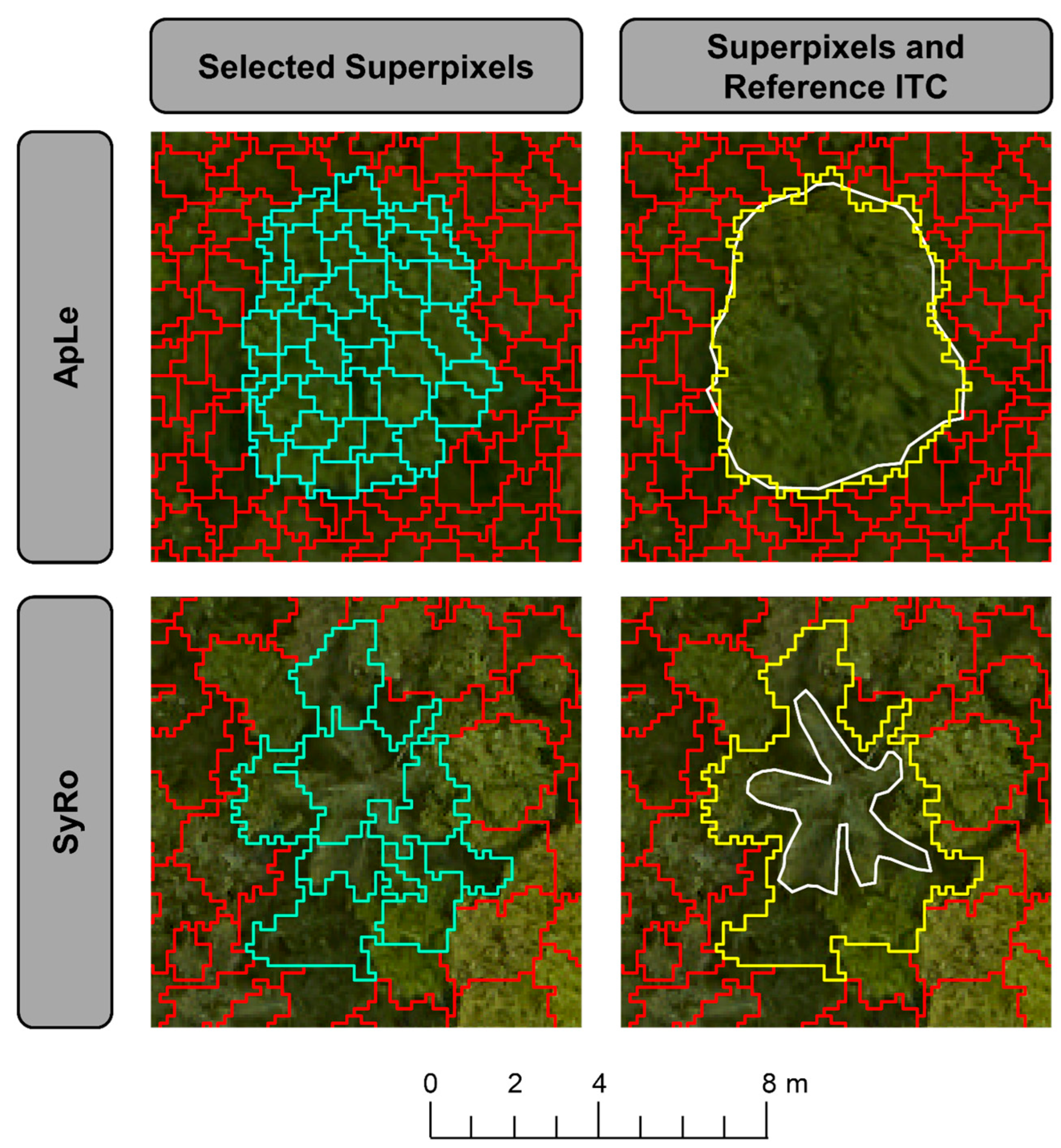 Forests 14 00945 g009