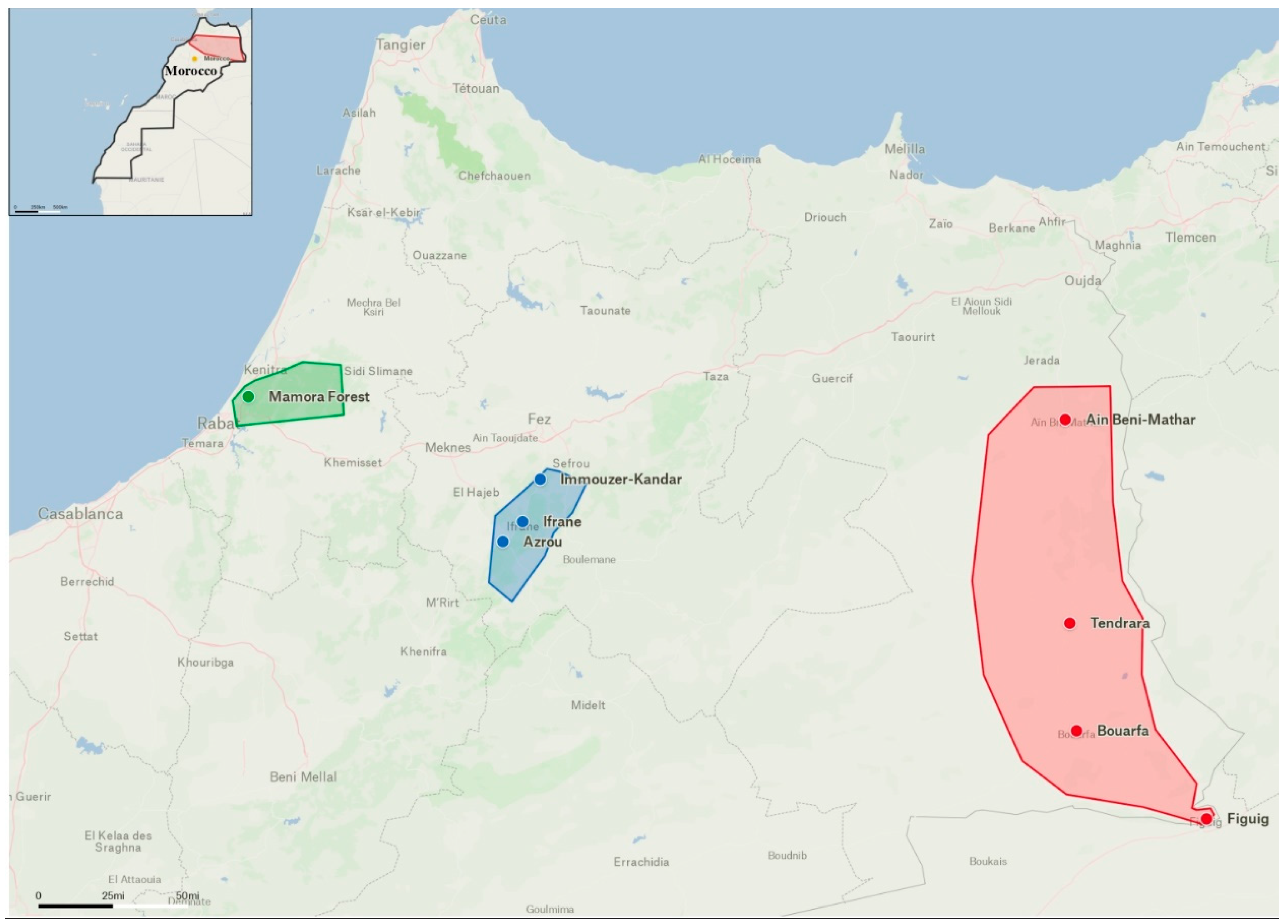Forests 14 00952 g001 Forests 14 00952 g001