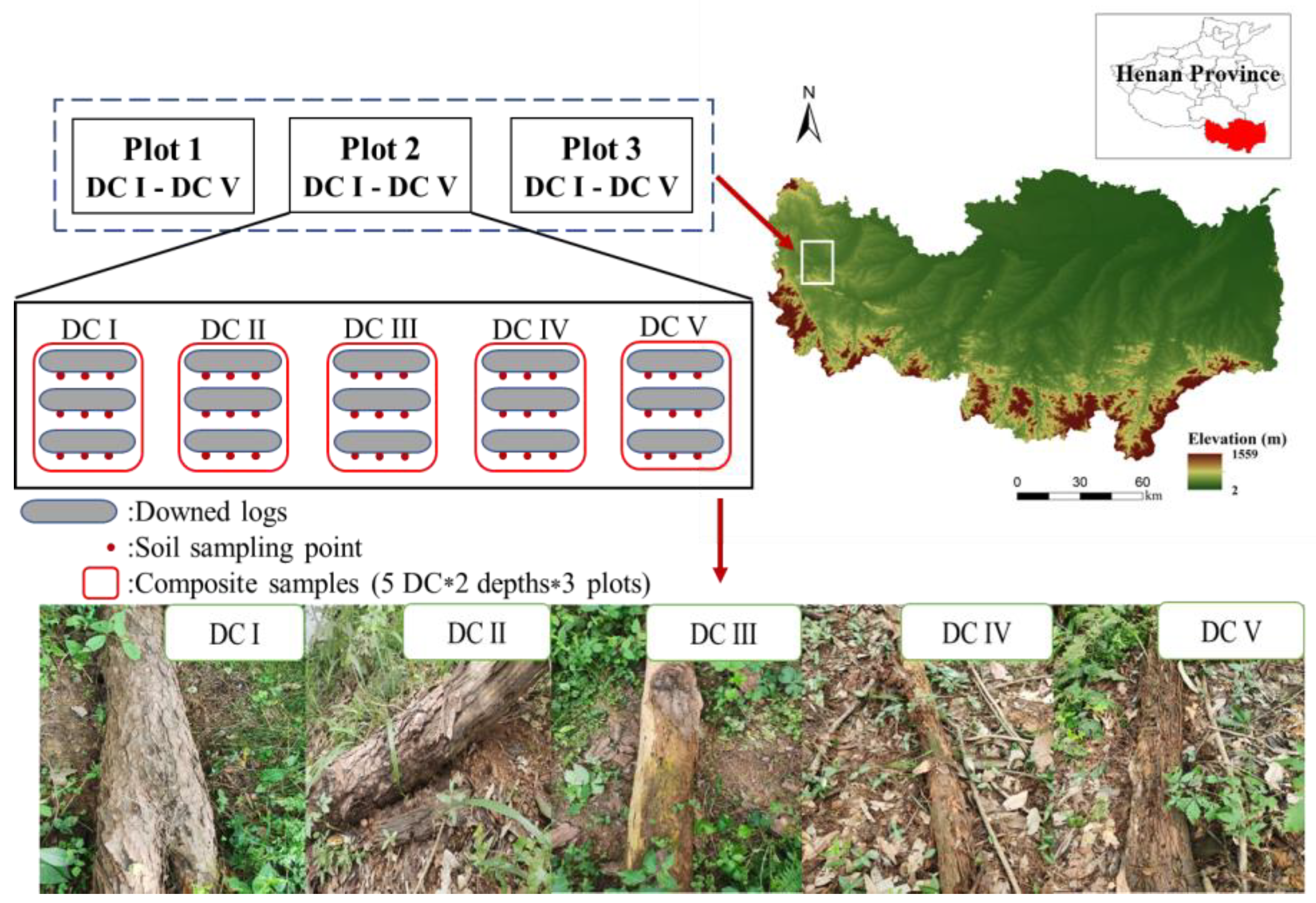 Forests 14 00955 g001 Forests 14 00955 g001