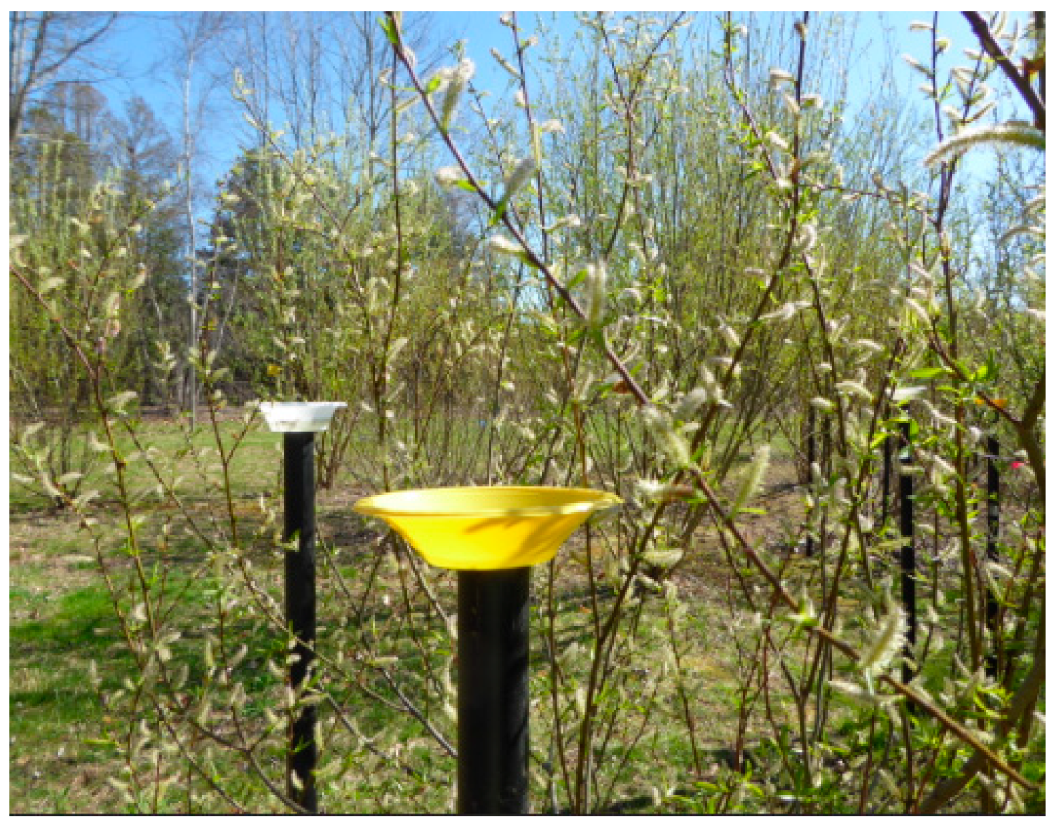 Forests 14 00959 g002