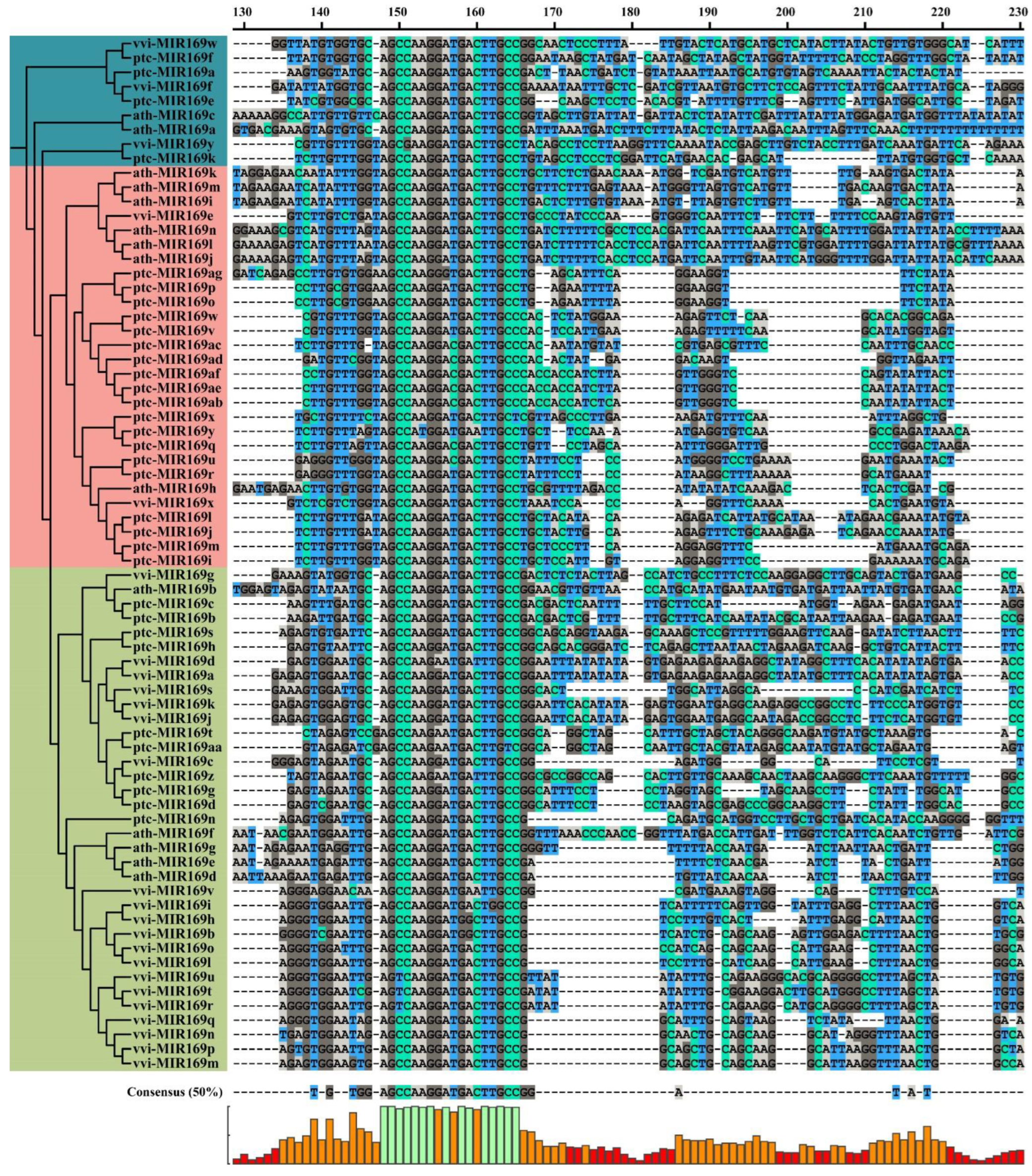 Forests 14 00961 g002