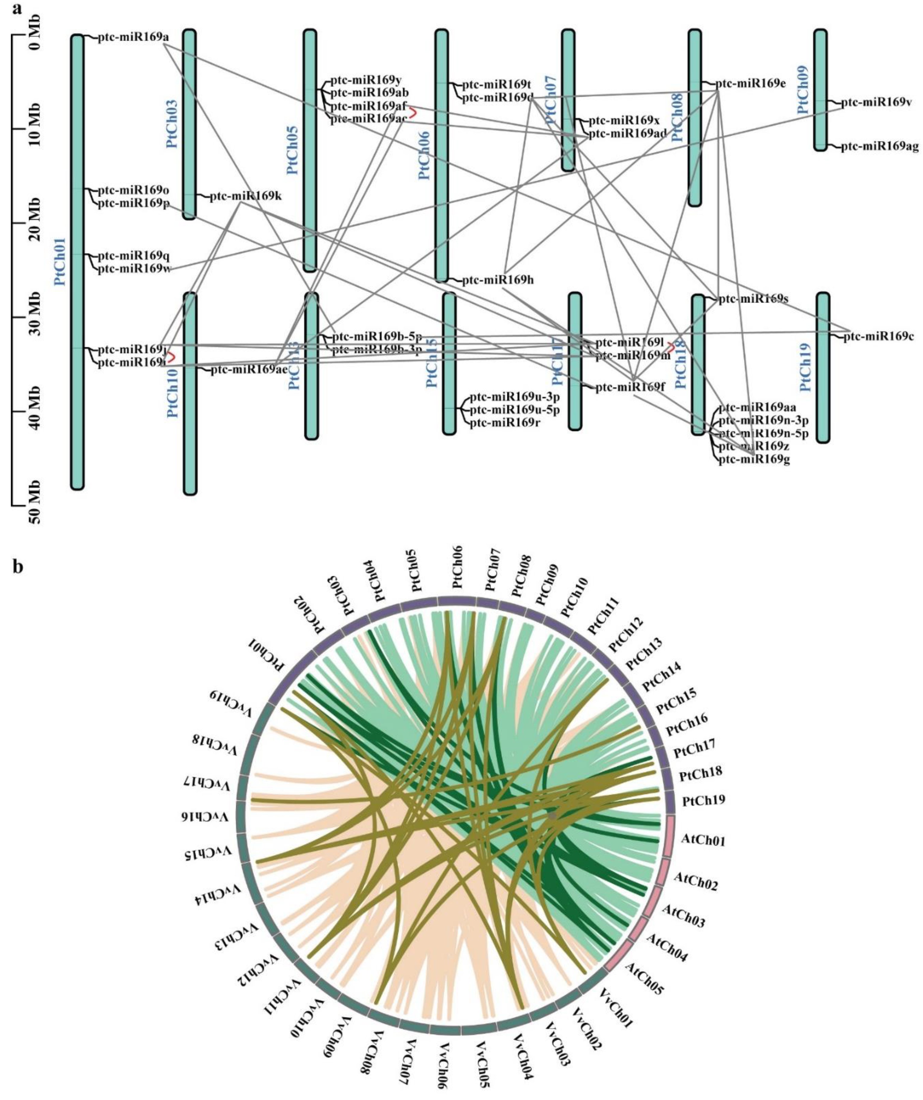 Forests 14 00961 g003