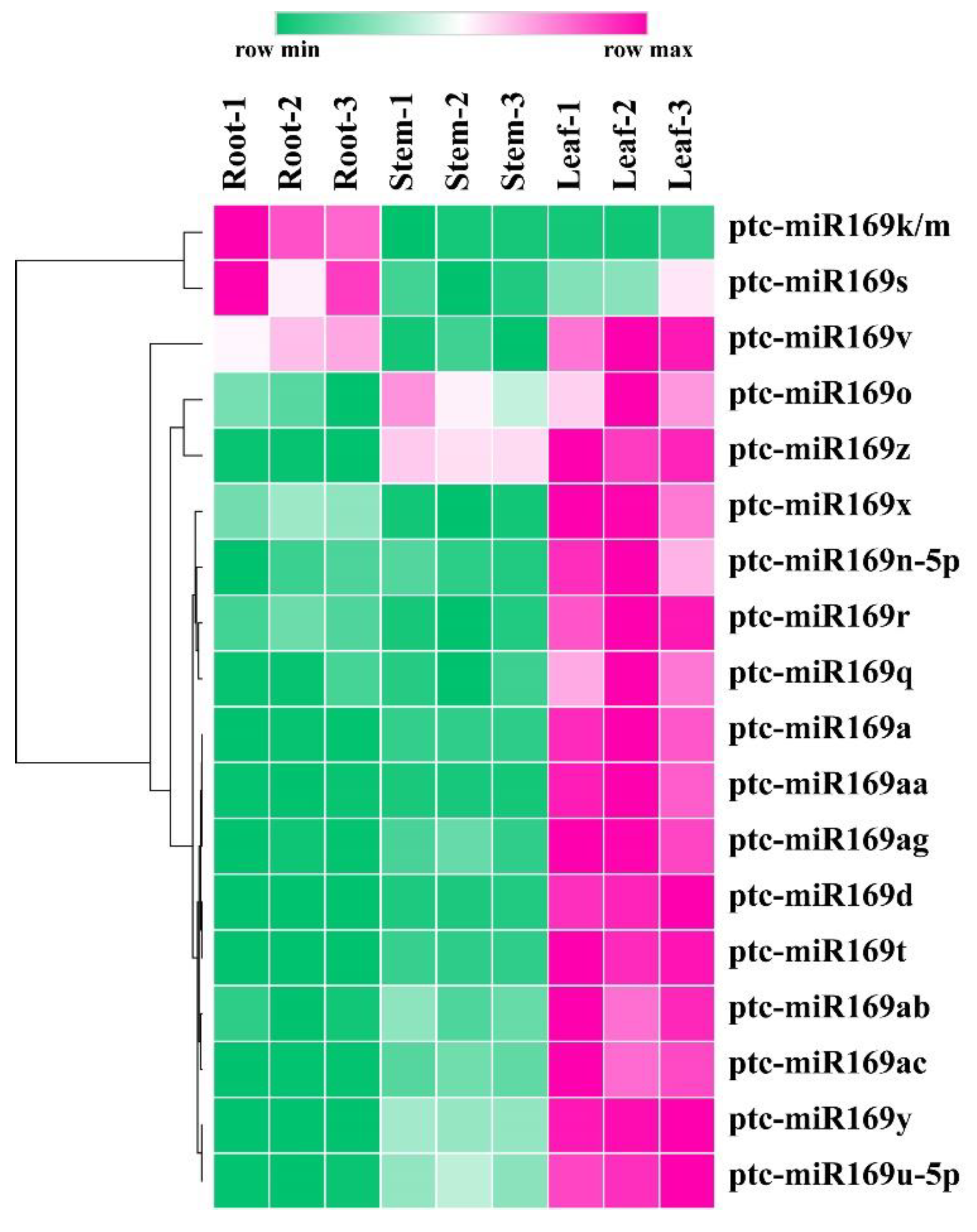 Forests 14 00961 g005