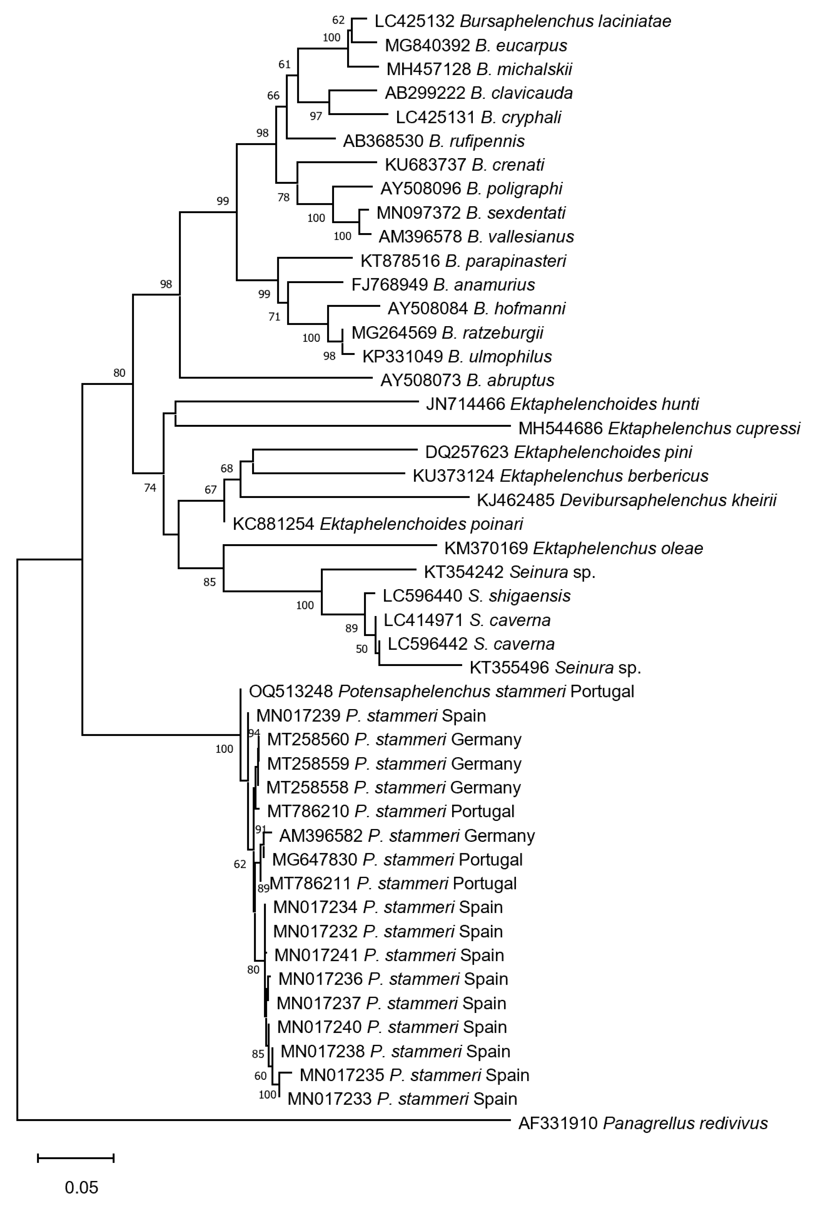 Forests 14 00962 g002 Forests 14 00962 g002