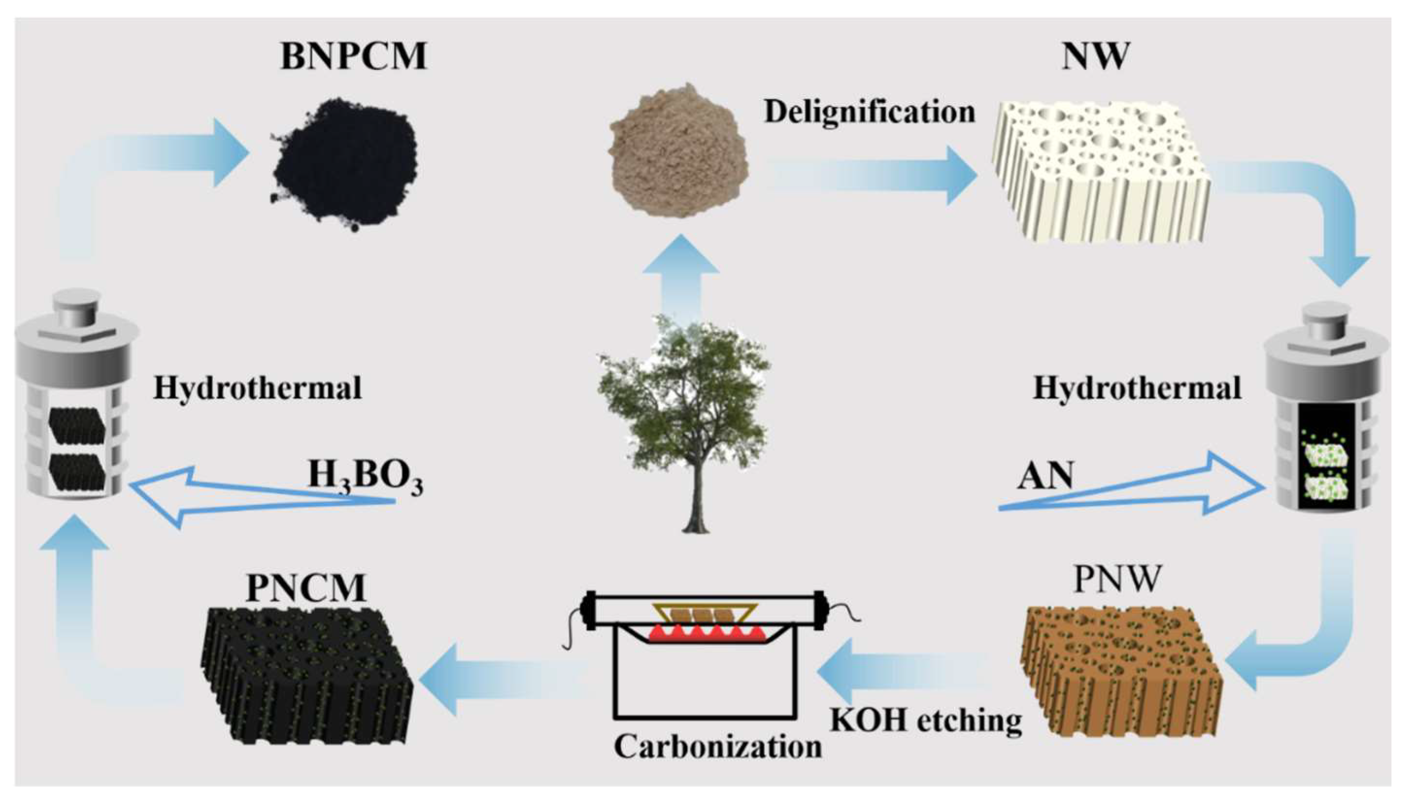 Forests 14 00965 g001 Forests 14 00965 g001