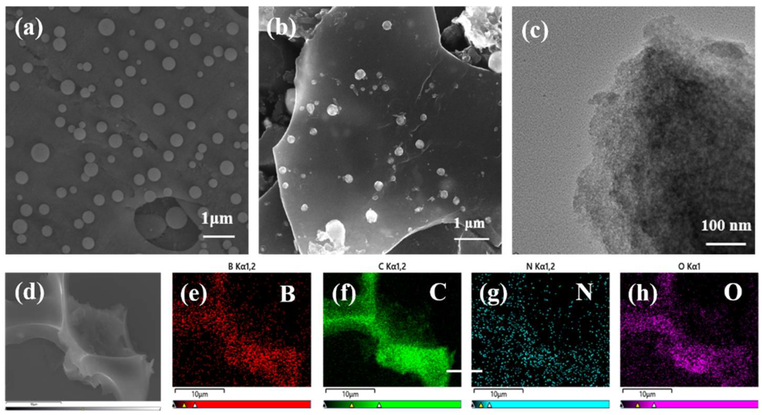 Forests 14 00965 g002 Forests 14 00965 g002