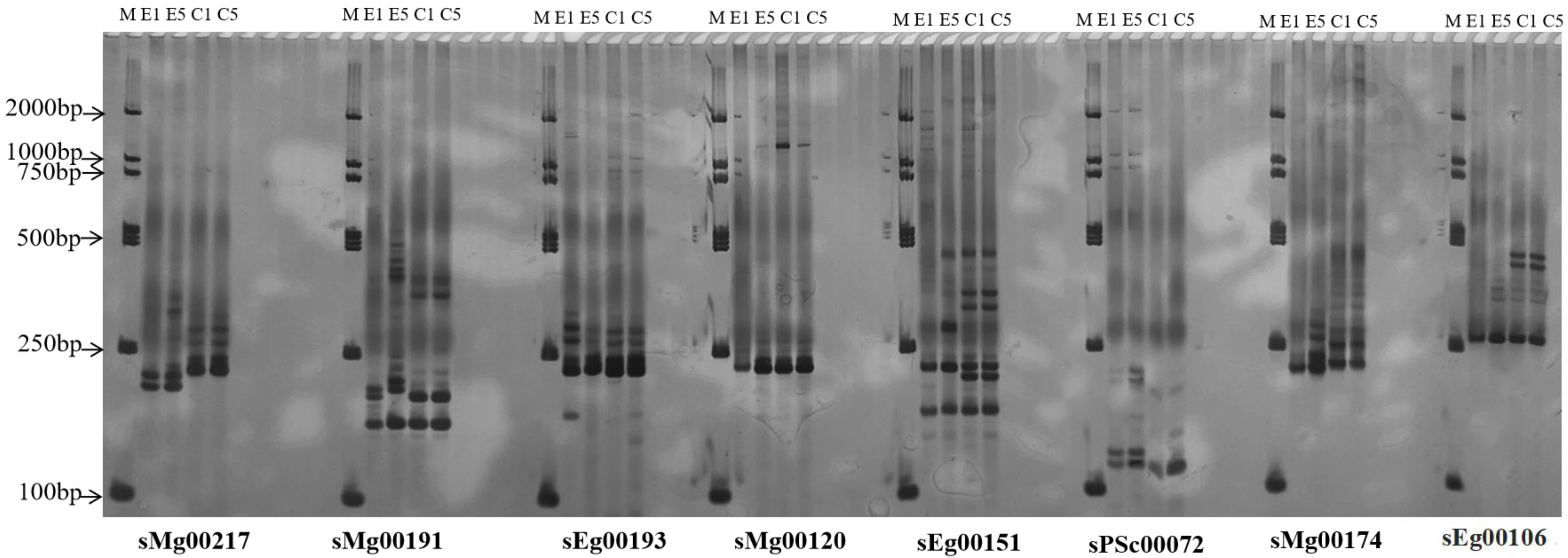 Forests 14 00966 g004 Forests 14 00966 g004