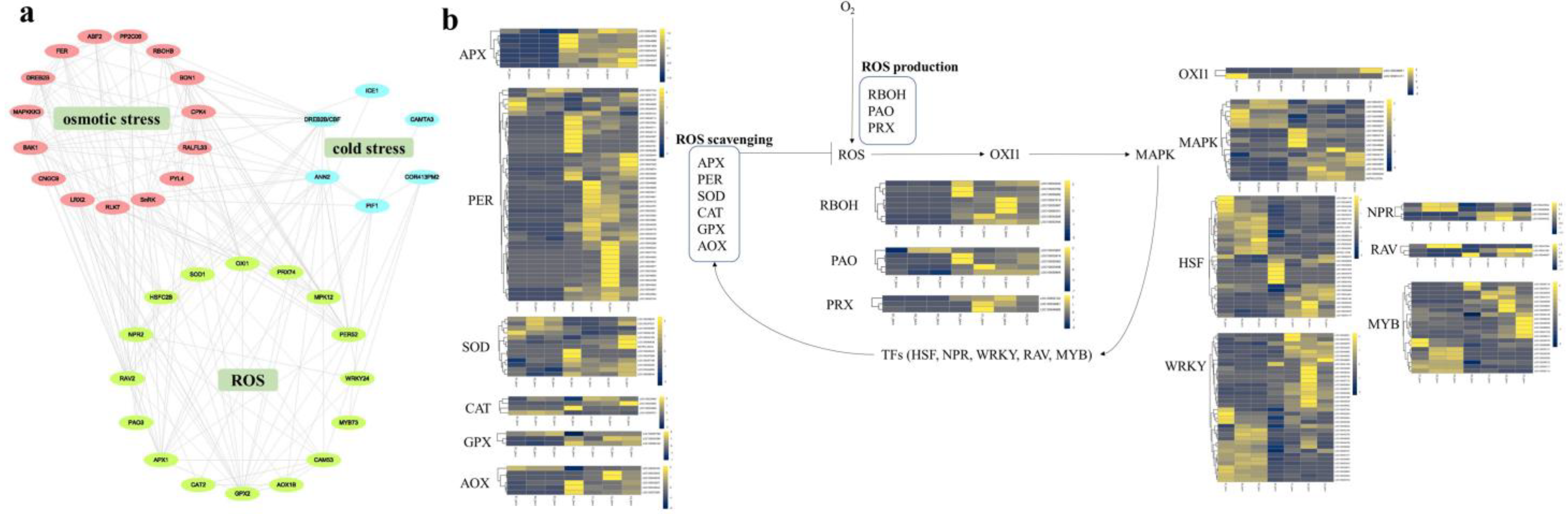 Forests 14 00966 g006 Forests 14 00966 g006