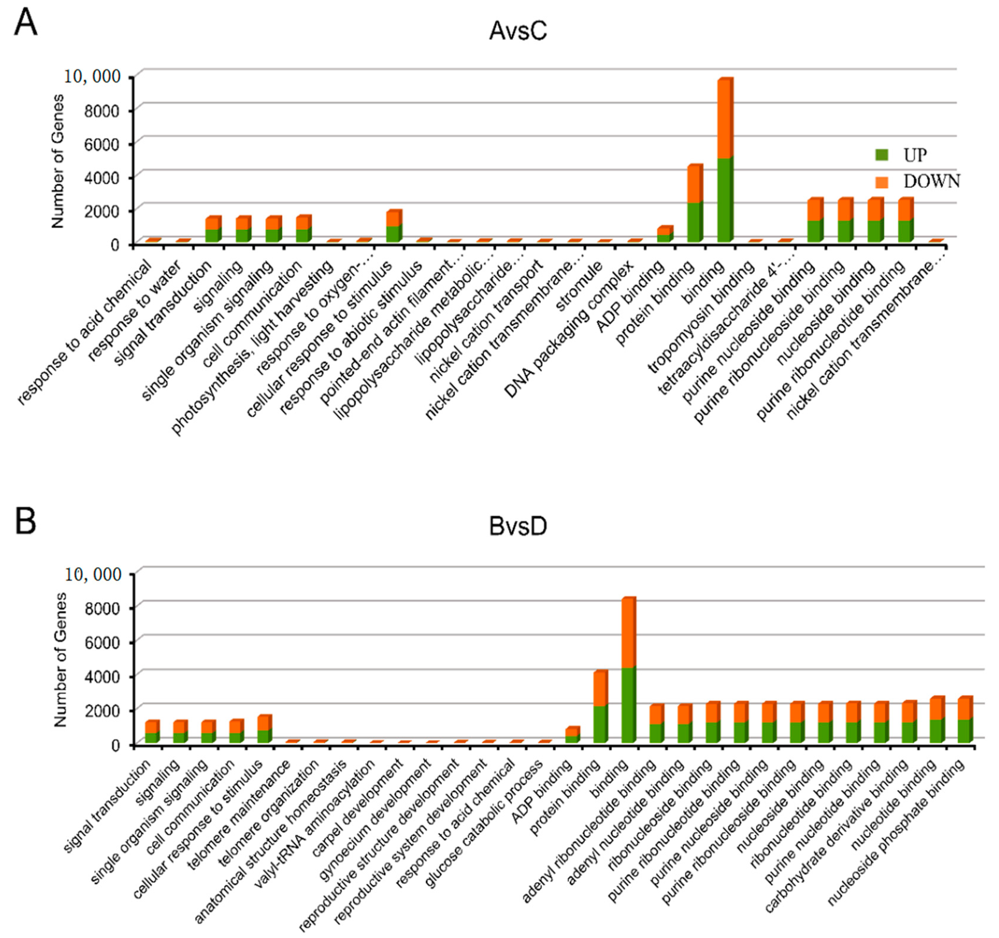 Forests 14 00967 g004