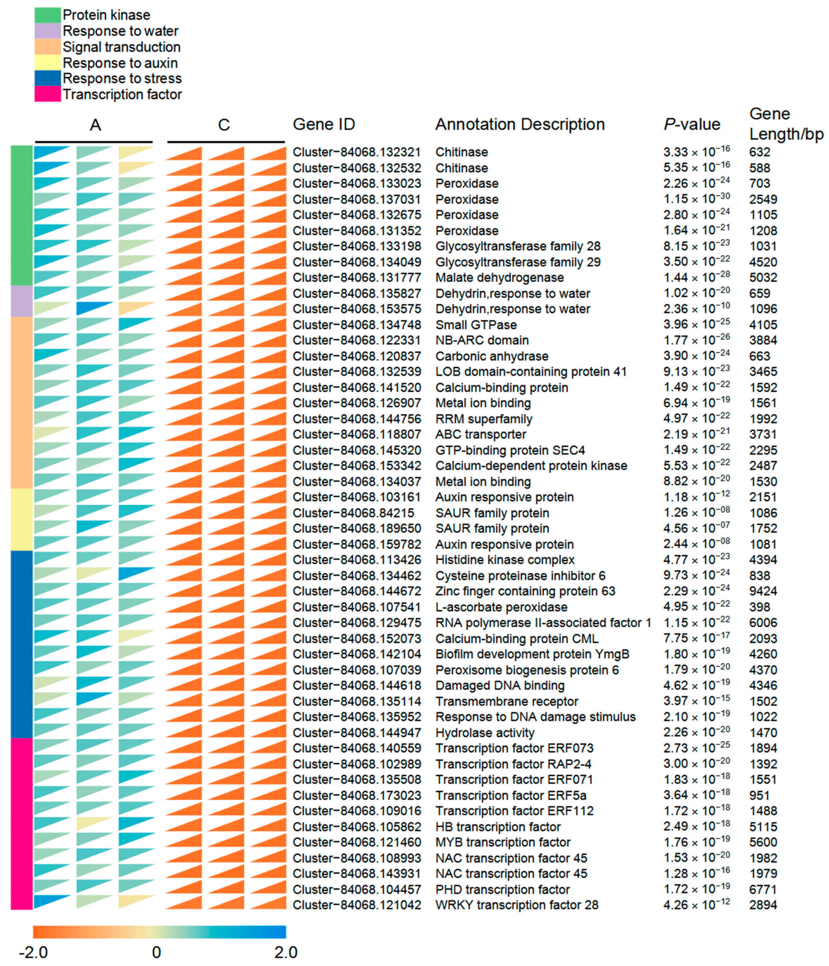 Forests 14 00967 g005