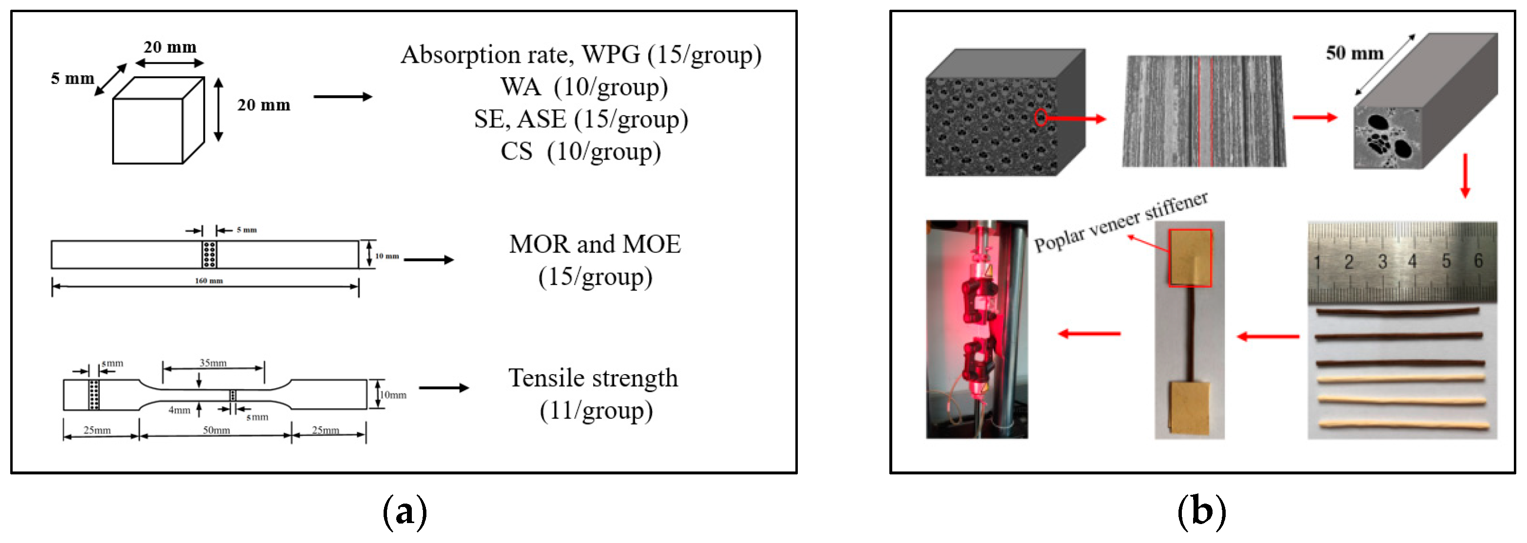 Forests 14 00970 g001