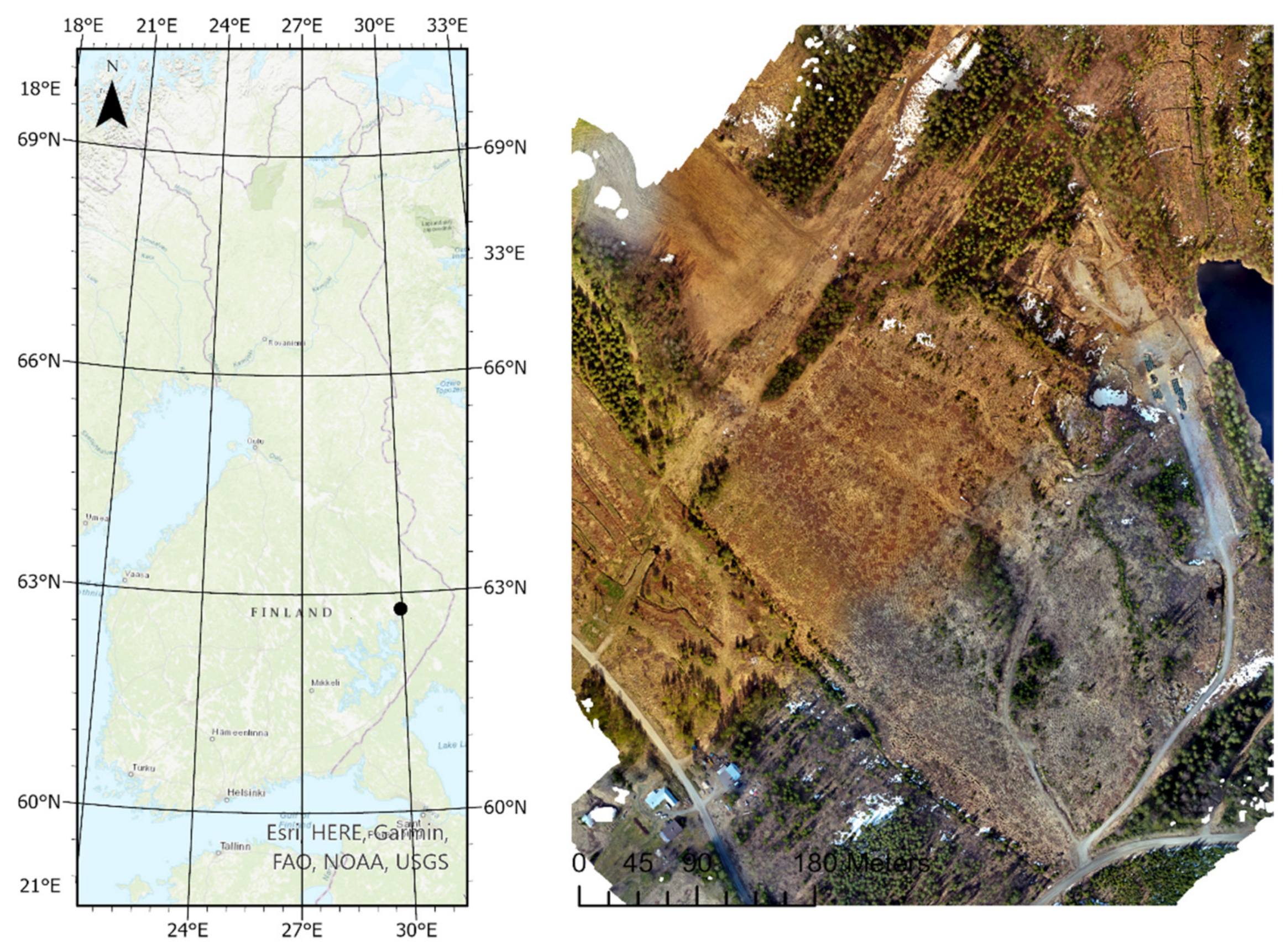 Forests 14 00973 g001