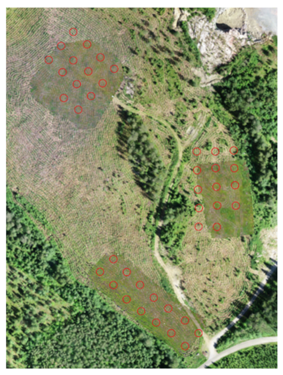 Forests 14 00973 g003