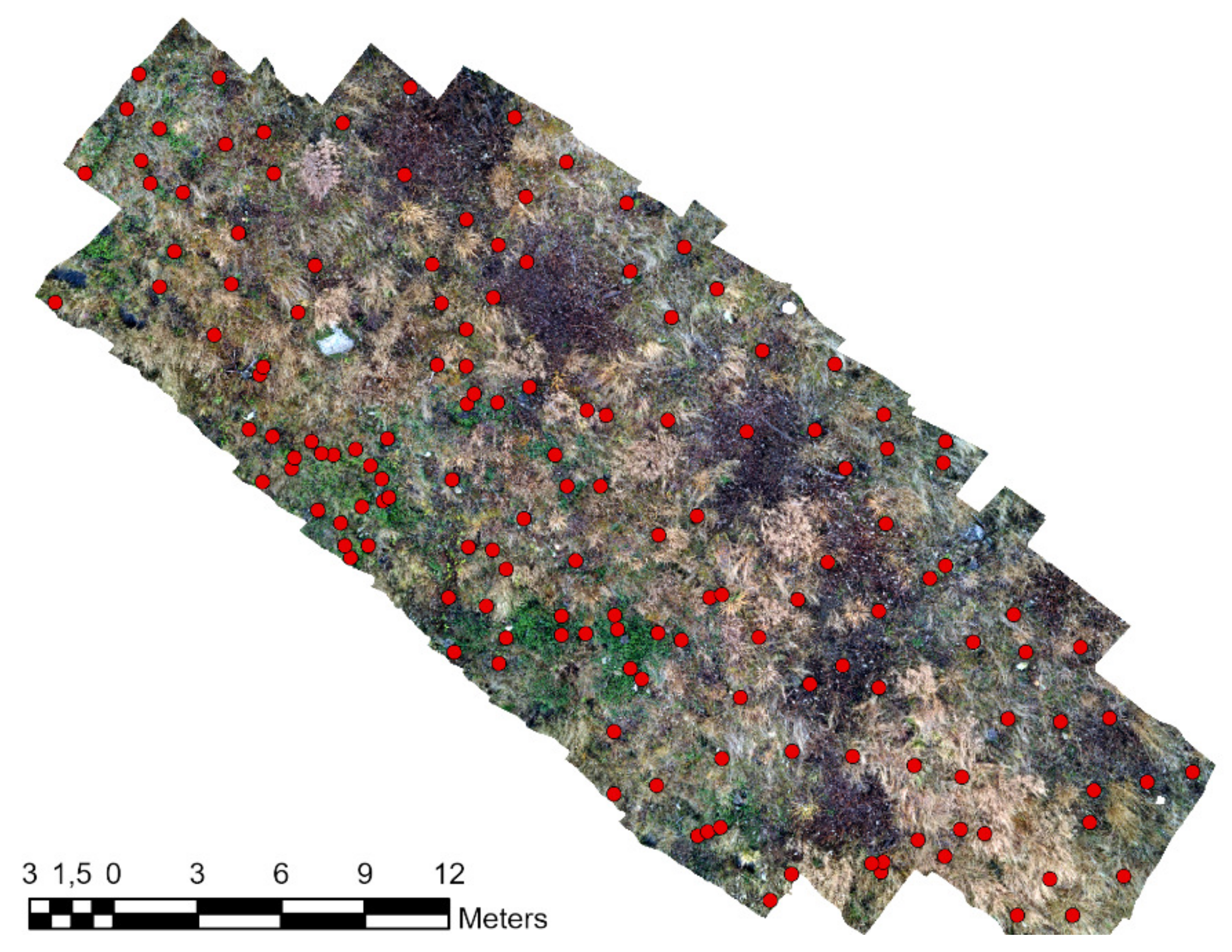 Forests 14 00973 g007