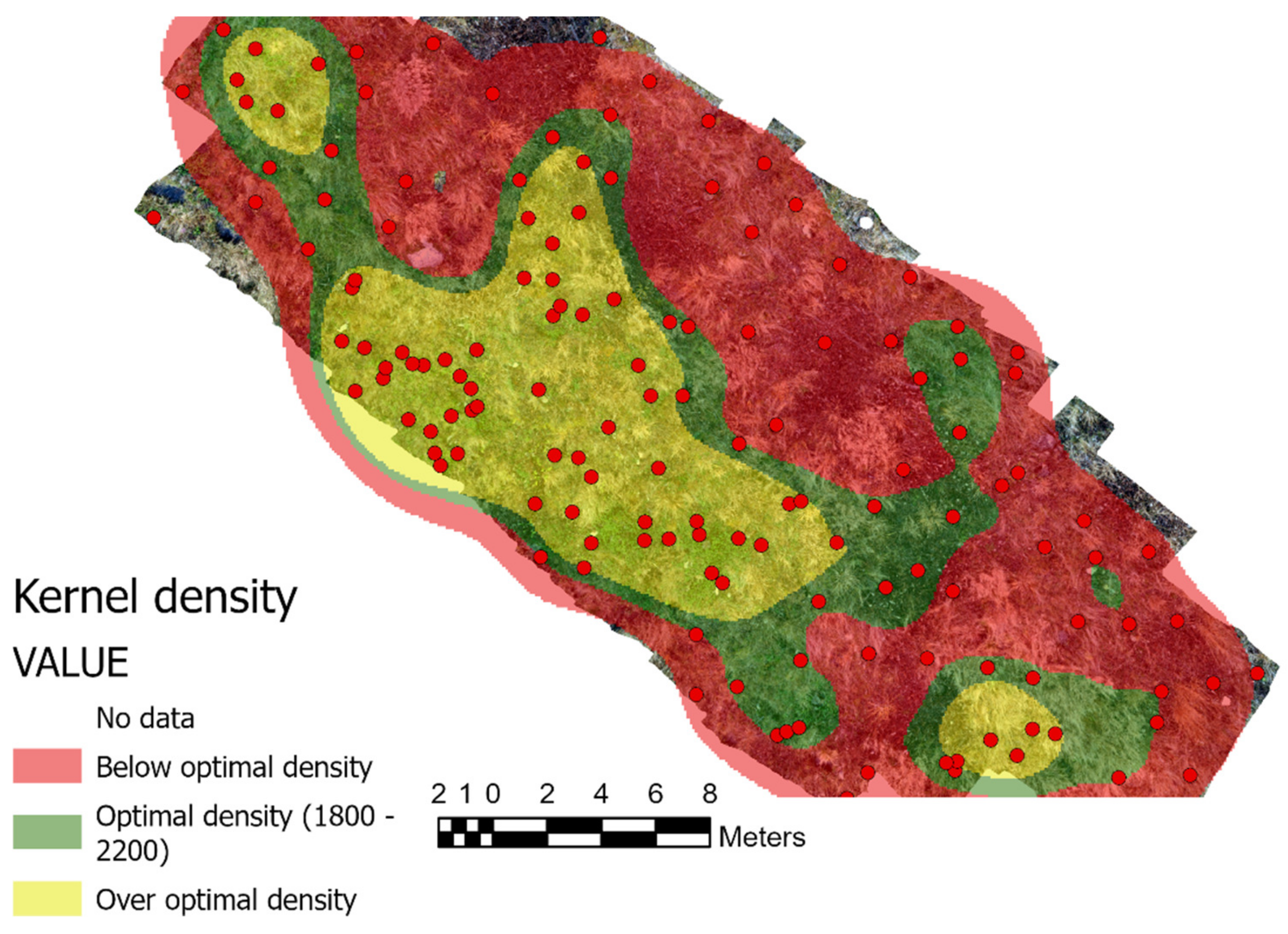 Forests 14 00973 g008
