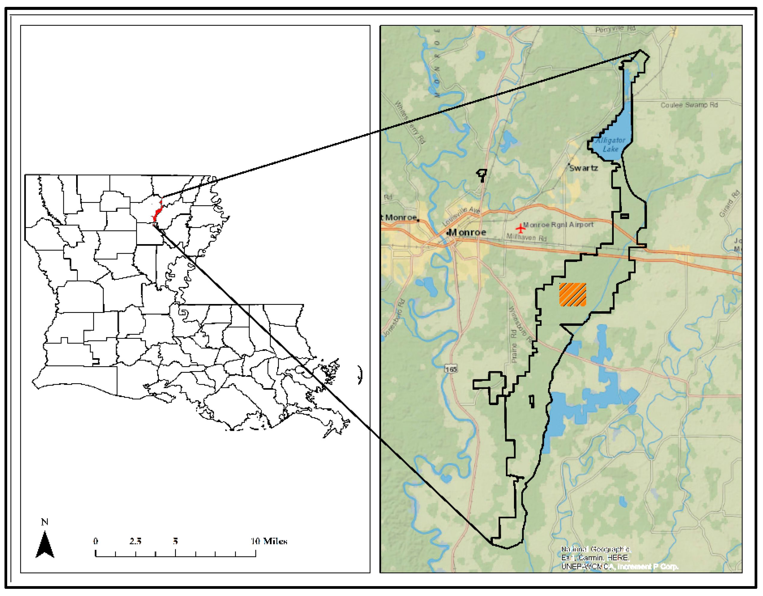 Forests 14 00974 g001 Forests 14 00974 g001