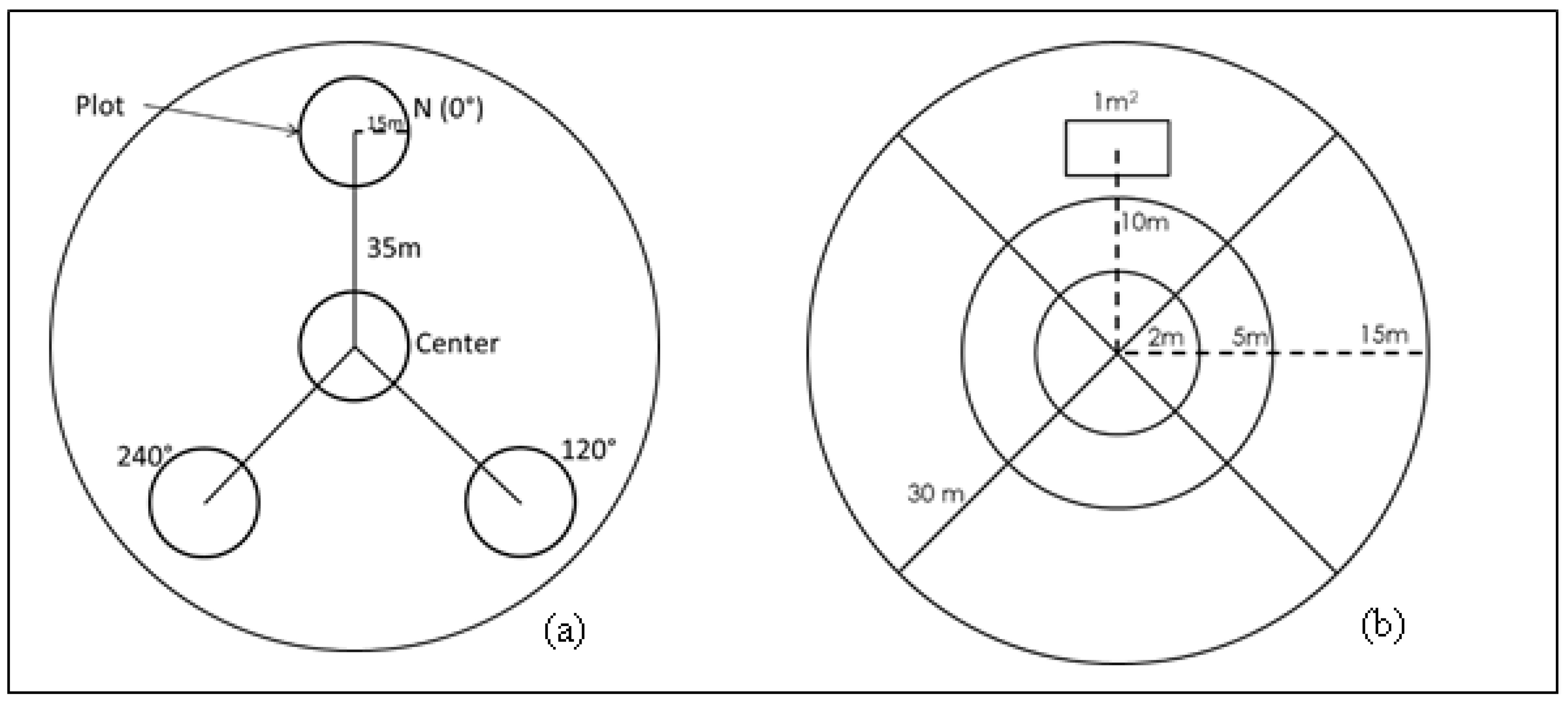 Forests 14 00974 g002 Forests 14 00974 g002