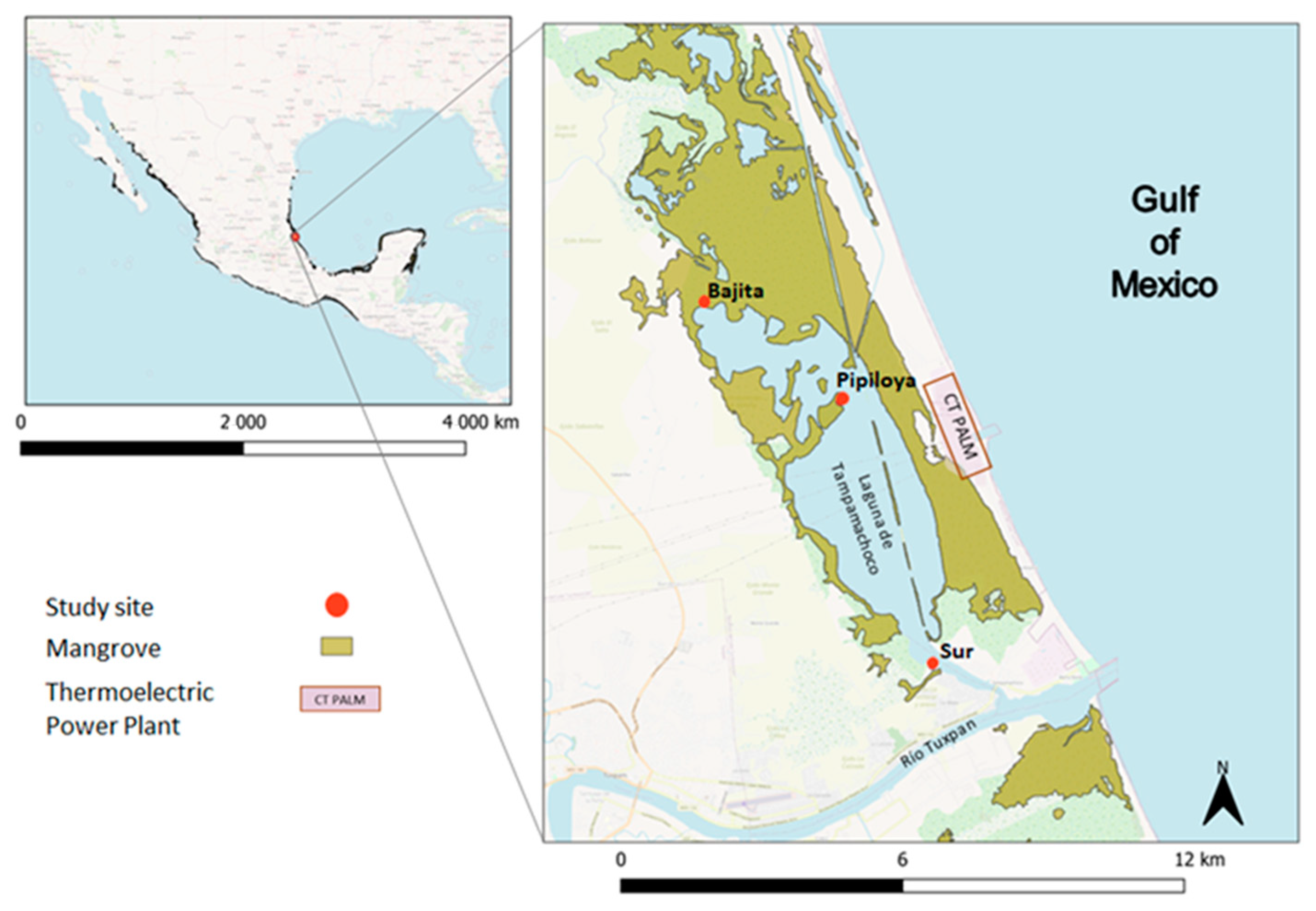 Forests 14 00976 g001 Forests 14 00976 g001
