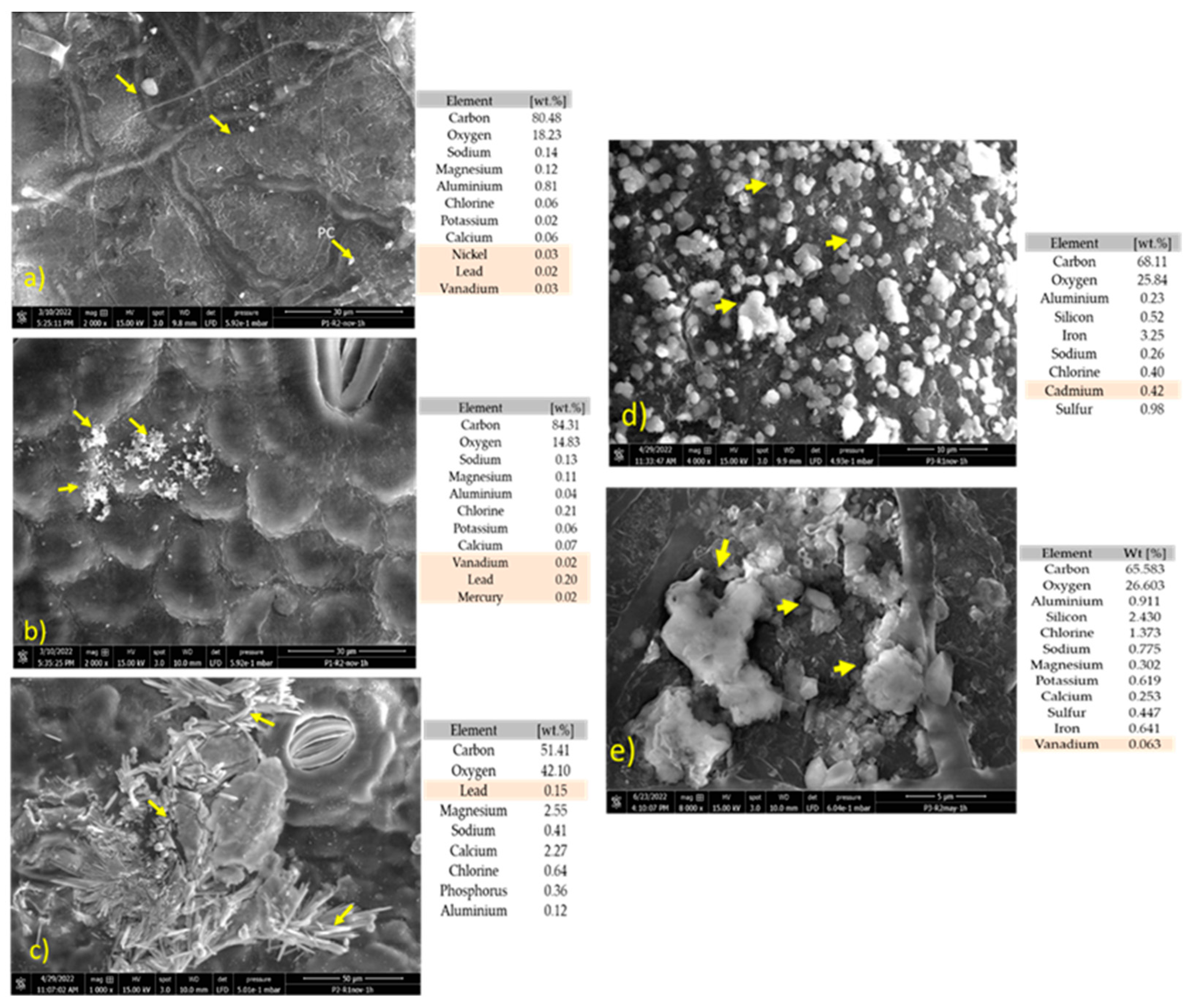 Forests 14 00976 g004 Forests 14 00976 g004