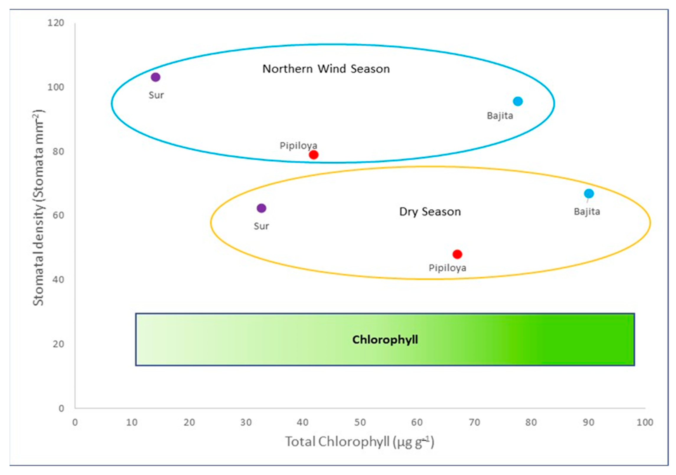 Forests 14 00976 g006 Forests 14 00976 g006