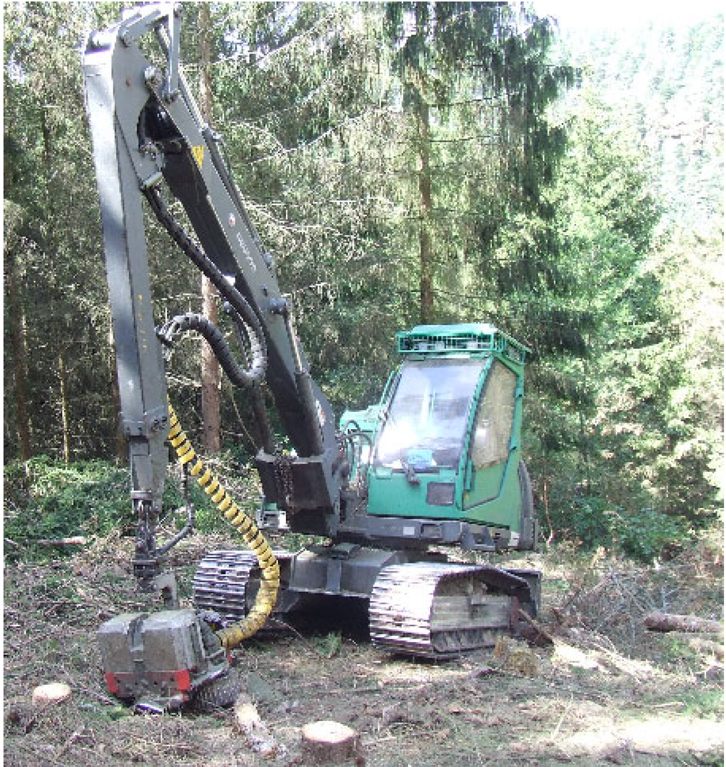 Forests 14 00977 g001 Forests 14 00977 g001