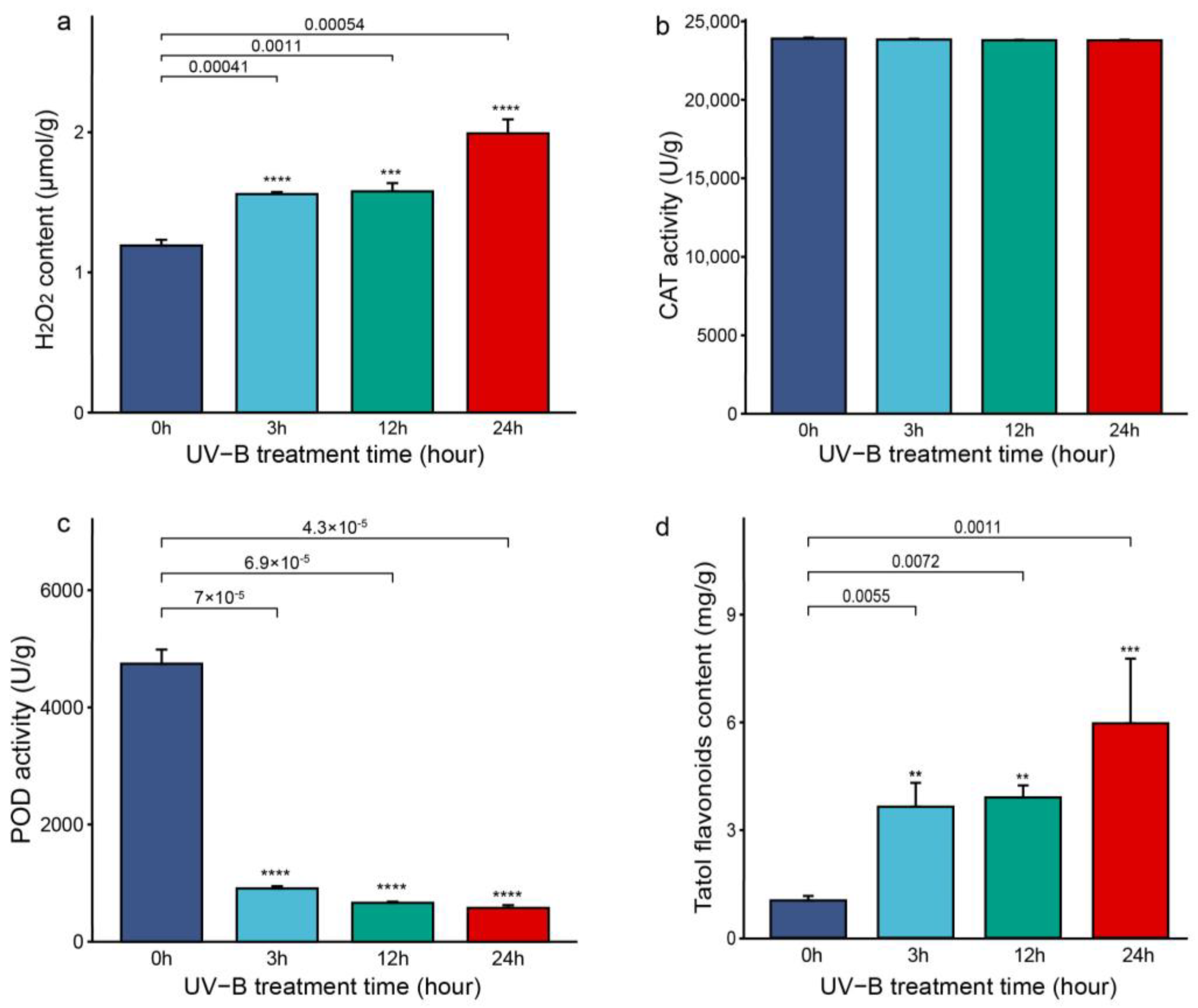 Forests 14 00979 g001