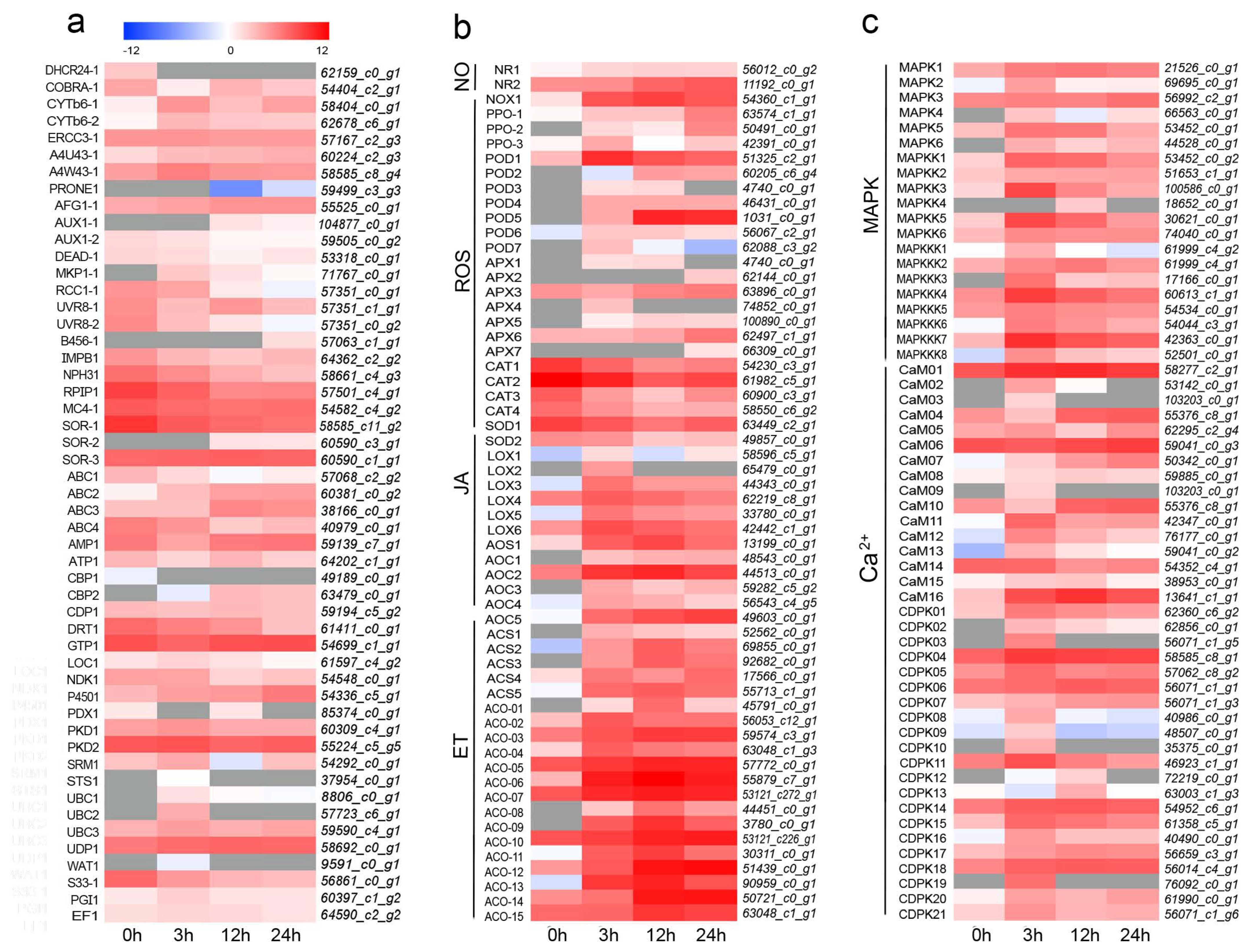 Forests 14 00979 g004