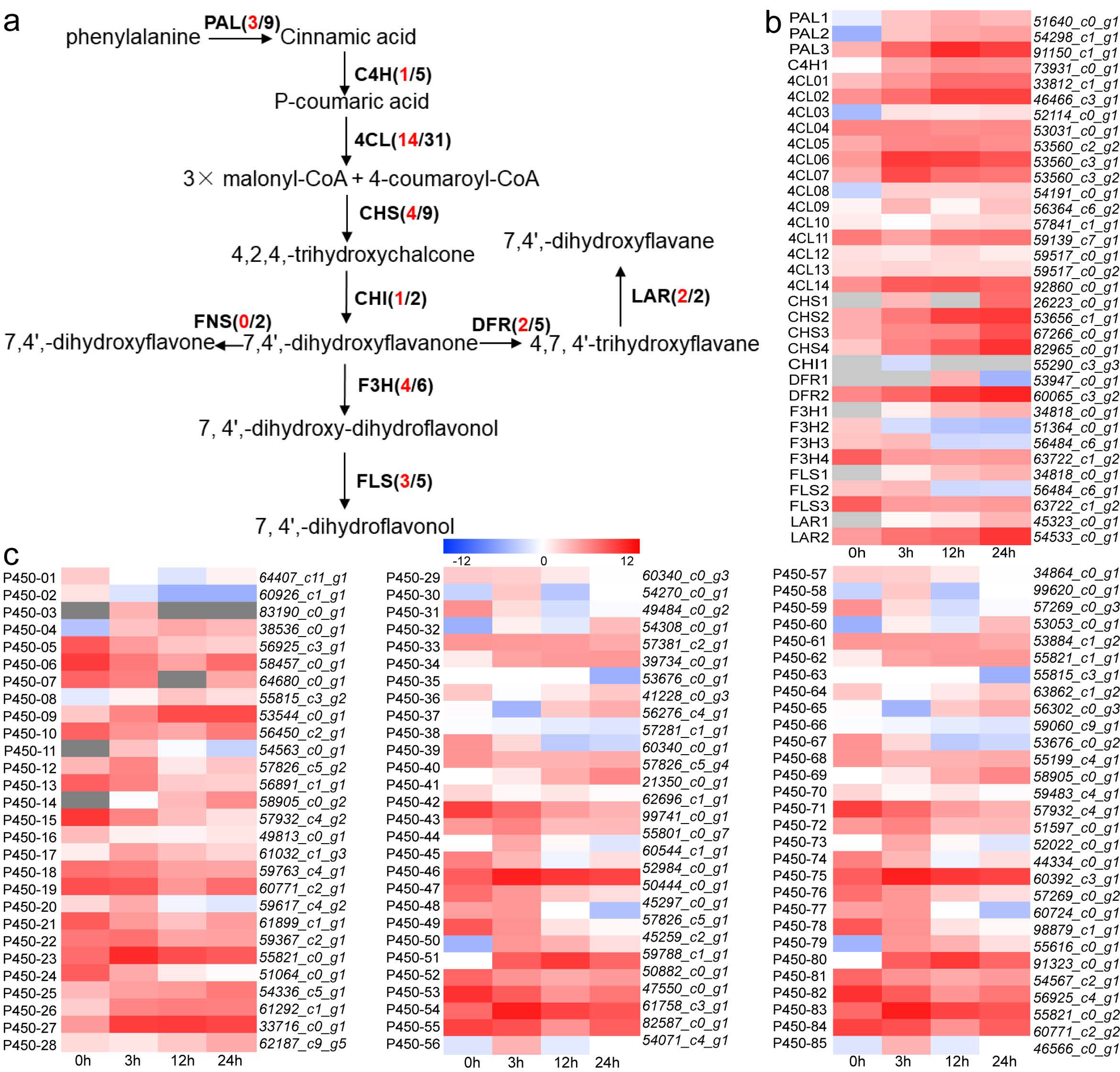 Forests 14 00979 g005