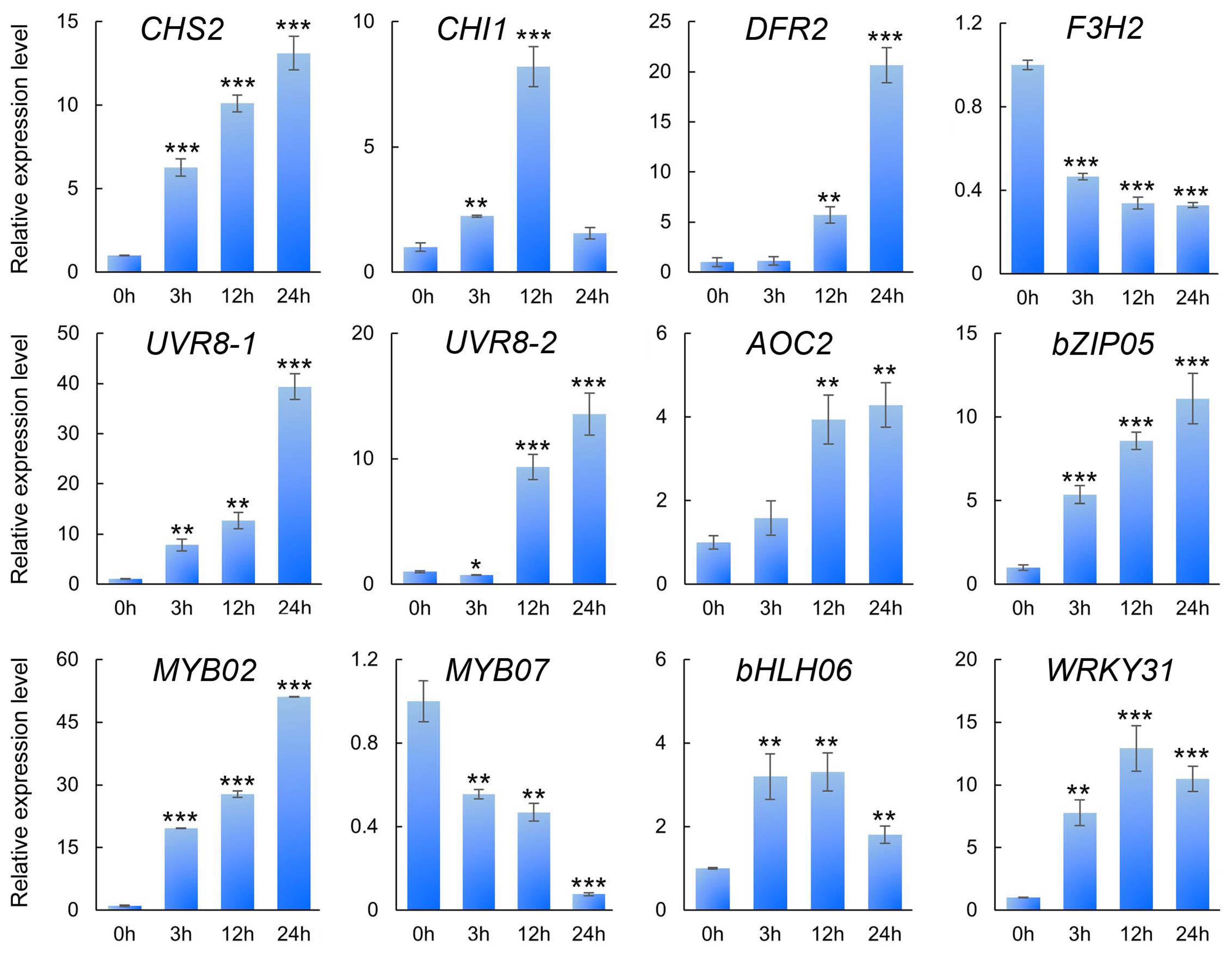 Forests 14 00979 g008